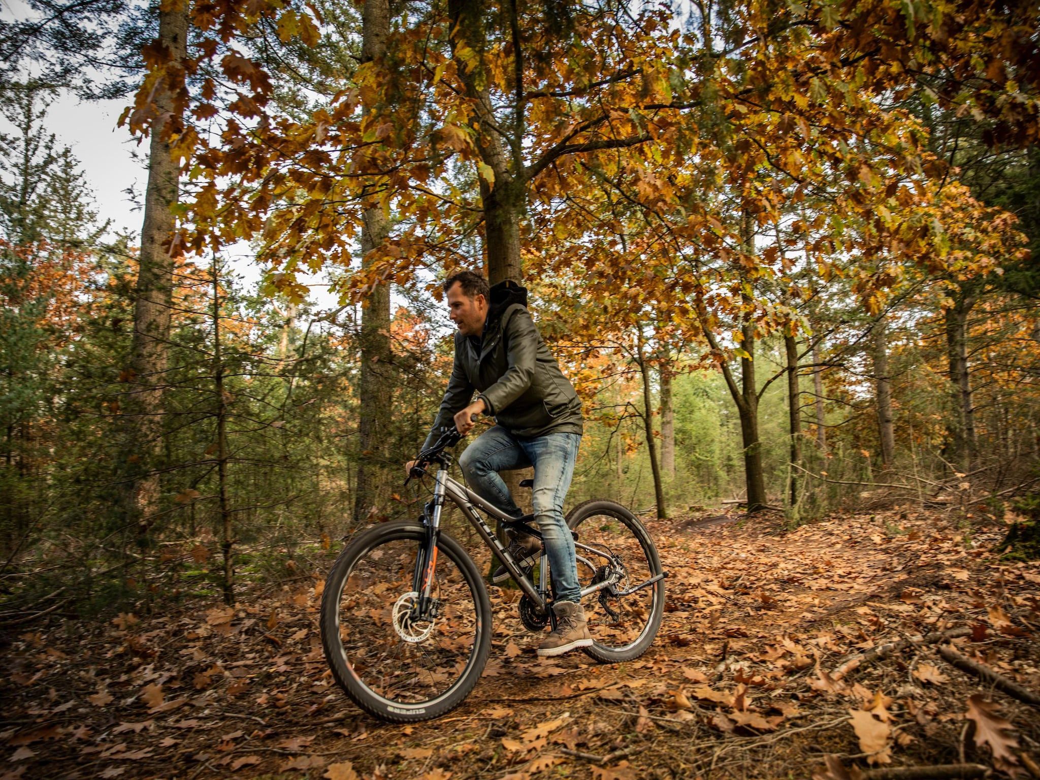 Sfeerbeeld van Vakantiepark De Heihorsten 10 in Someren