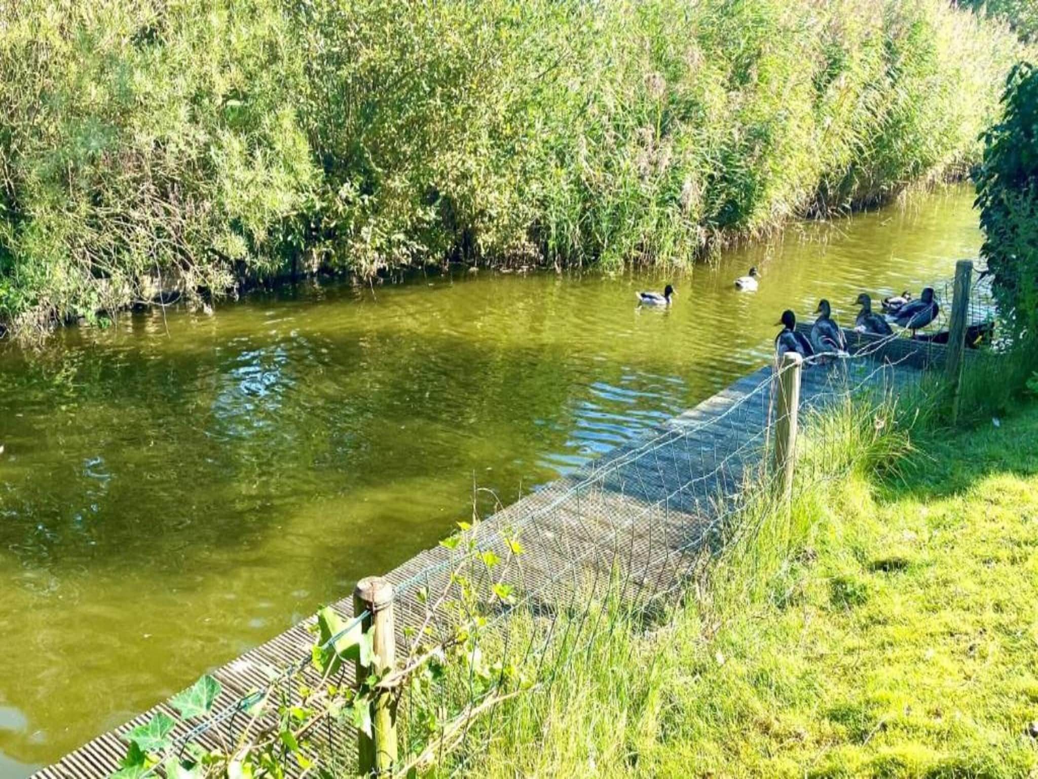 De omgeving van Vakantiepark Zeebad 13 in Breskens