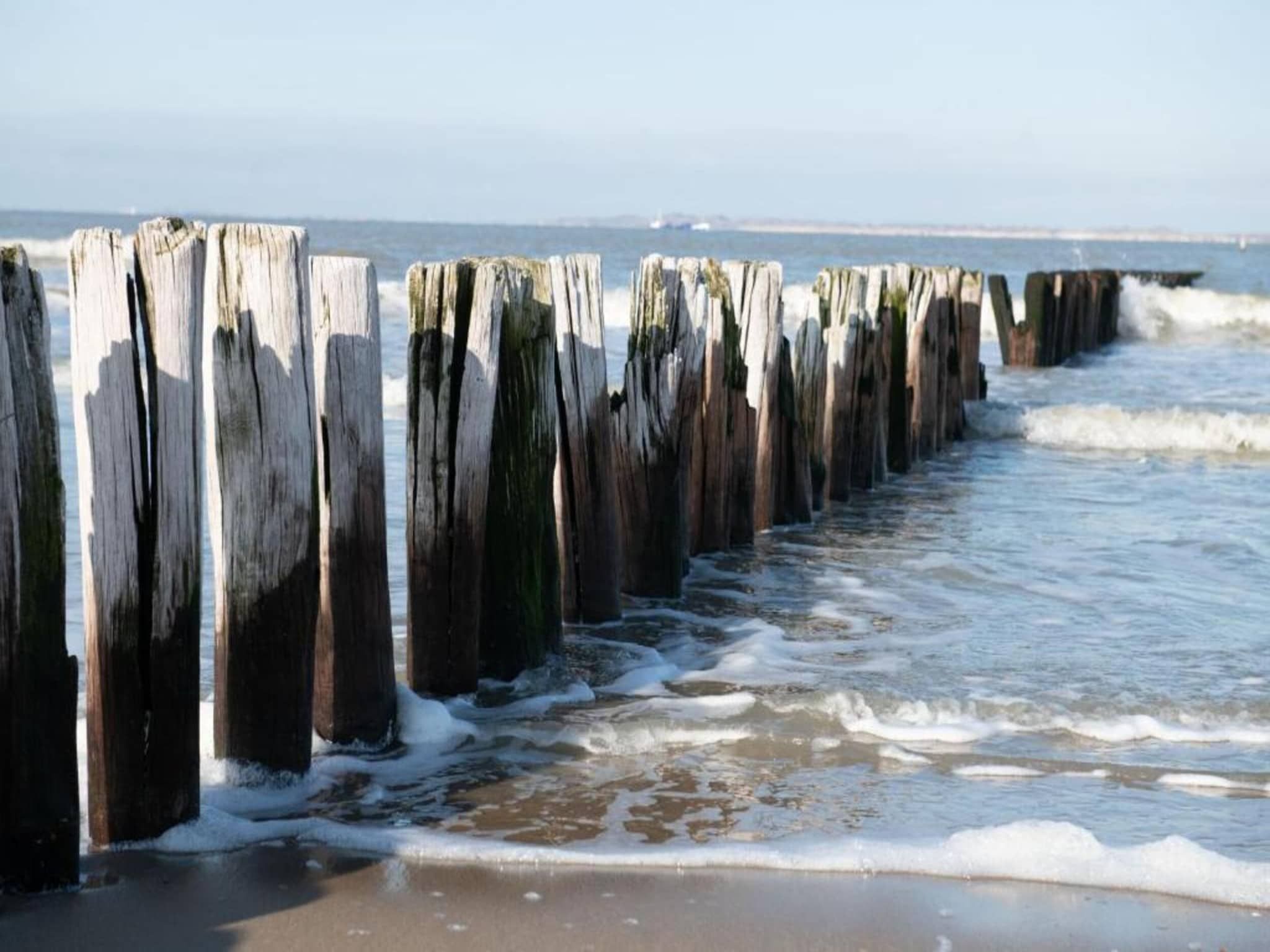 De omgeving van Vakantiepark Zeebad 16 in Breskens