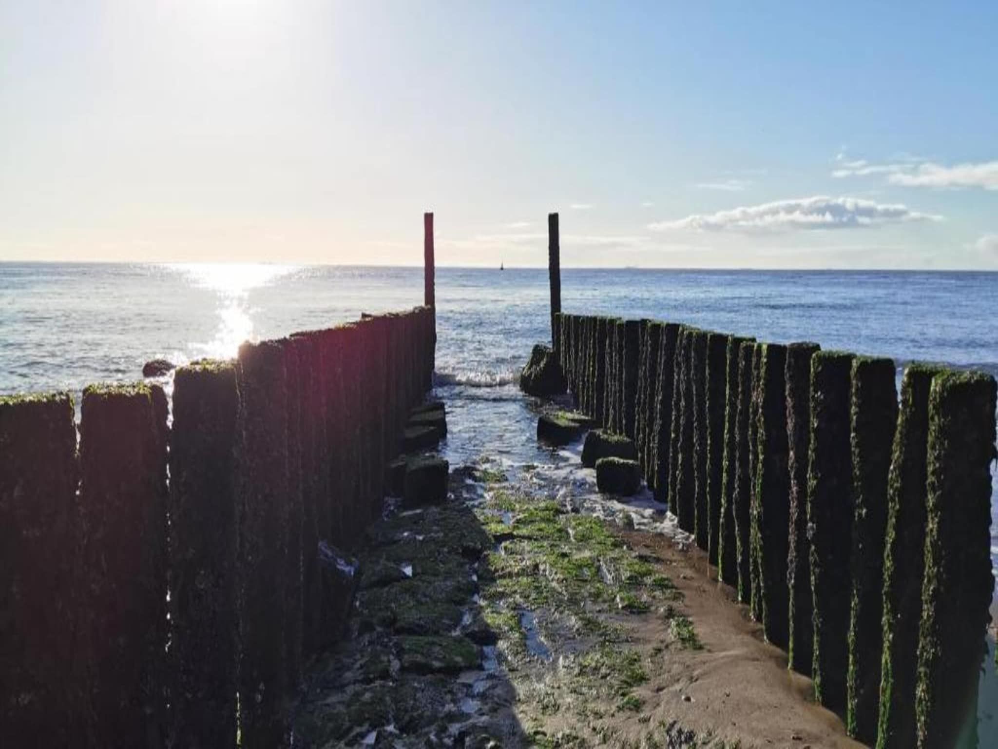 De omgeving van Vakantiepark Zeebad 16 in Breskens