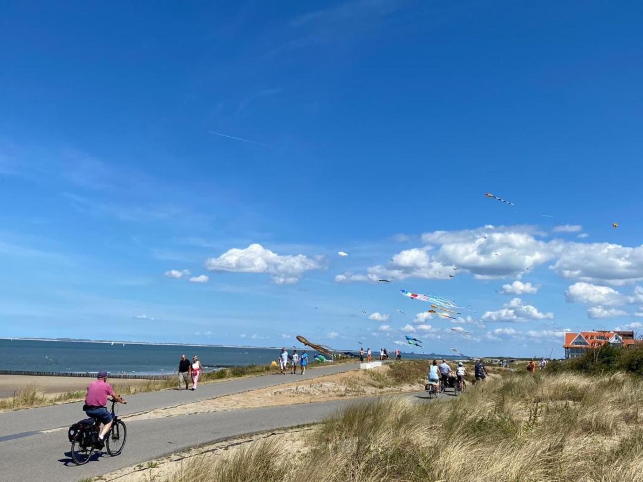 De omgeving van Vakantiepark Zeebad 17 in Breskens