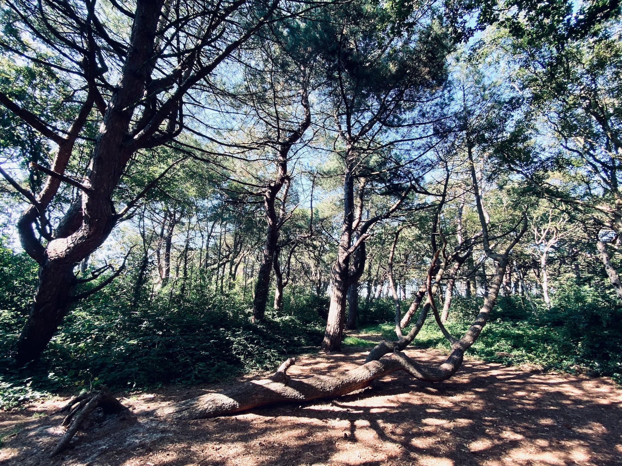 INFINITY in Callantsoog - Foto 24 van 35