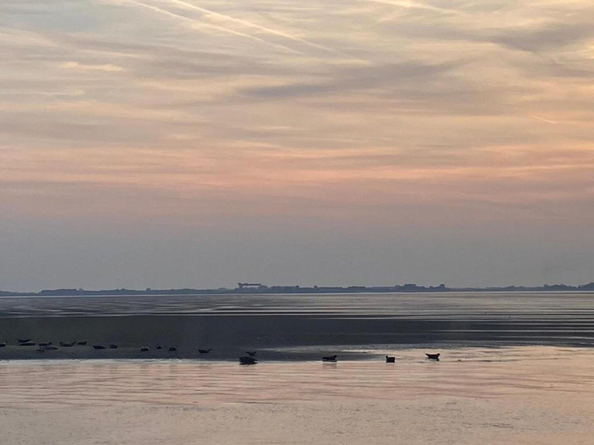 De Scholekster Huis Nr 29 in Scherpenisse - Foto 32 van 41