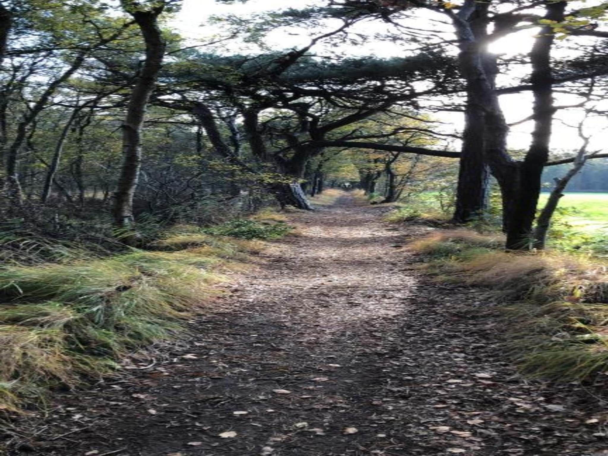 Recreatiepark Idskenhuizen 1 in Idskenhuizen - Foto 45 van 45