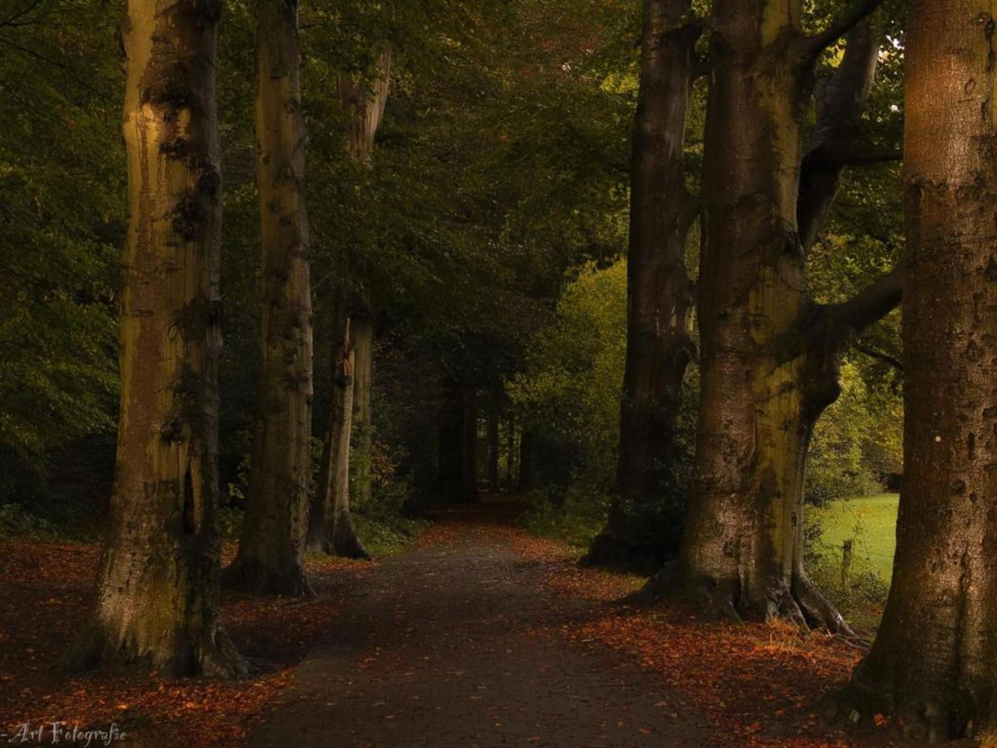 Hulshorsterhout in Hulshorst - Foto 33 van 40