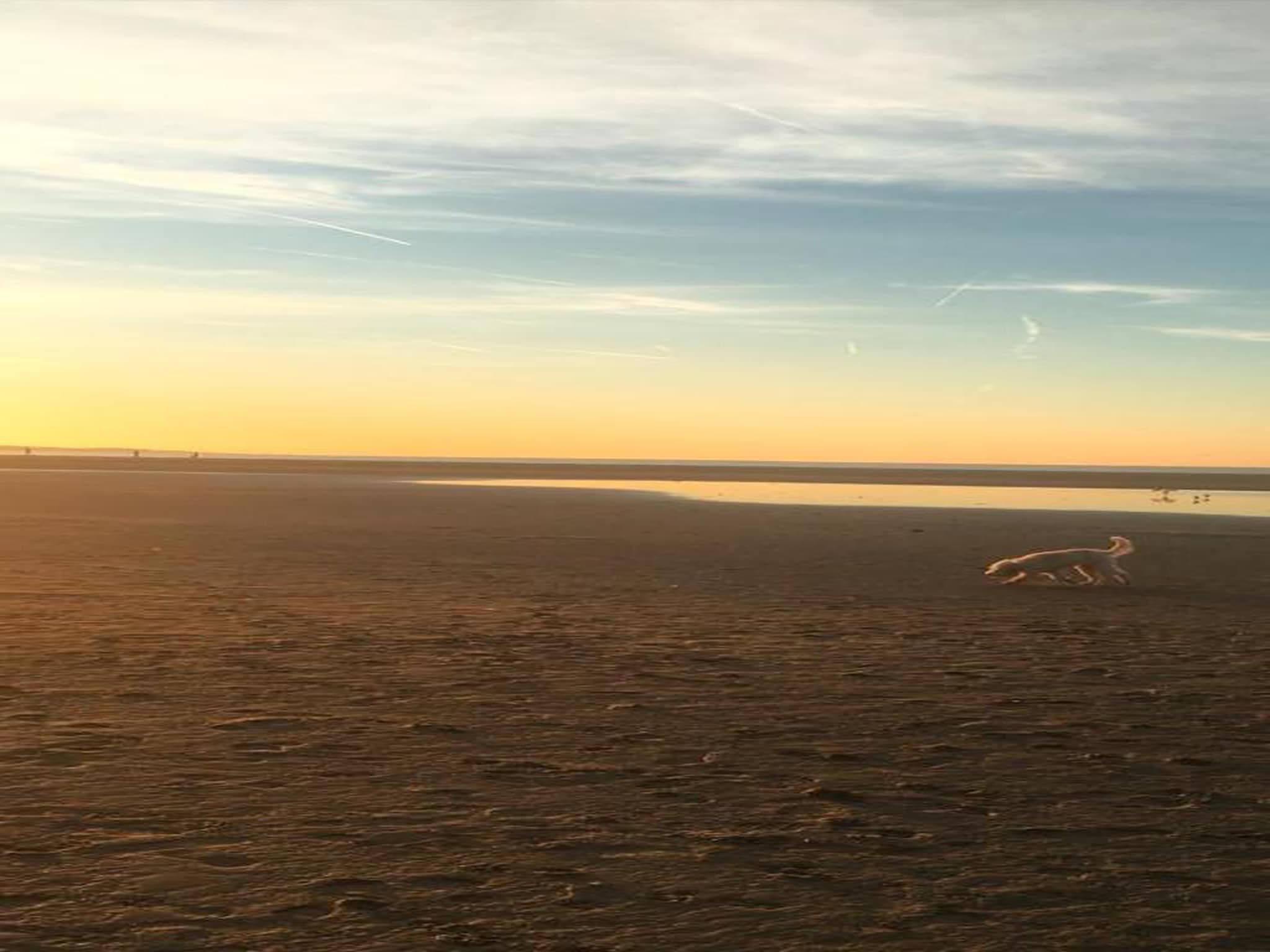 Beach Resort Brouwersdam 3 in Scharendijke - Foto 14 van 35