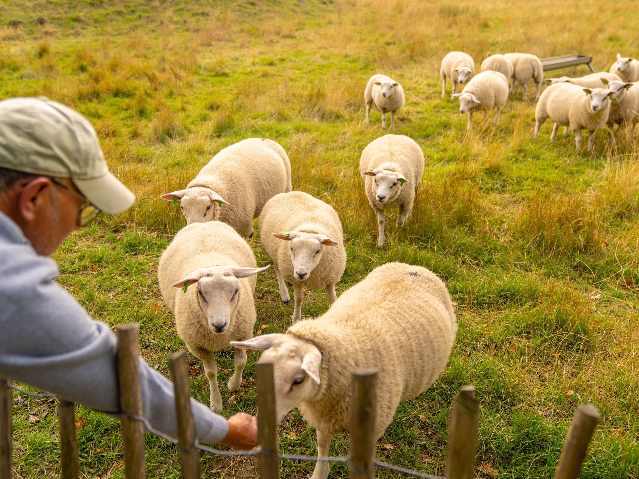 Parkfaciliteiten bij Beach Resort Brouwersdam 3 in Scharendijke