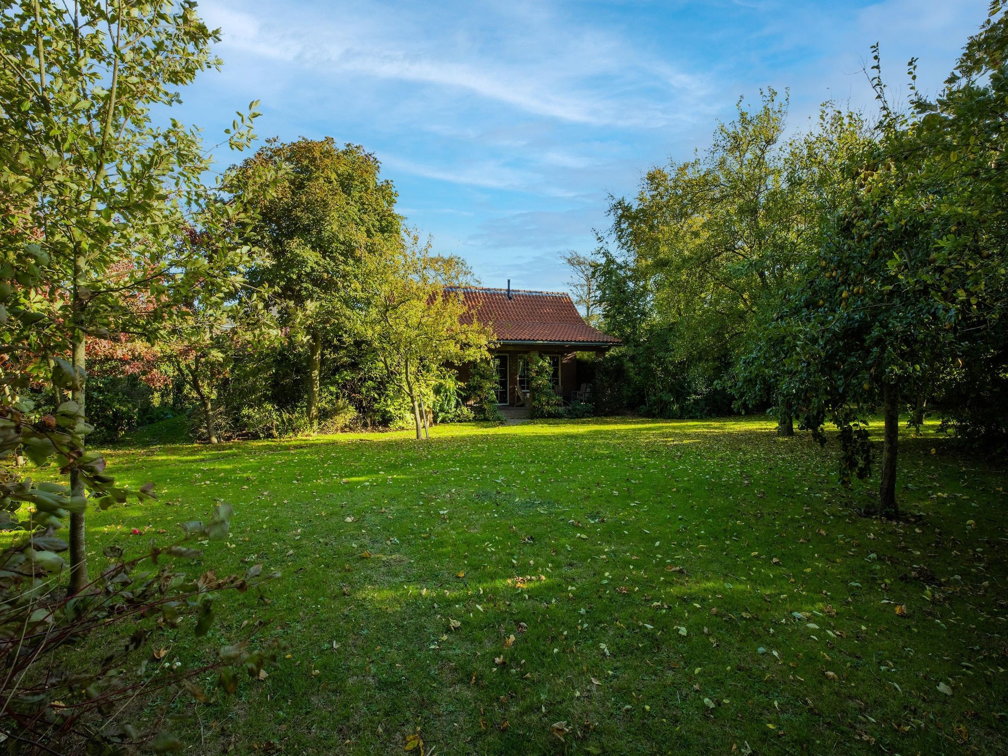 De tuin van Vakantiewoning Wijnaldum in Wijnaldum