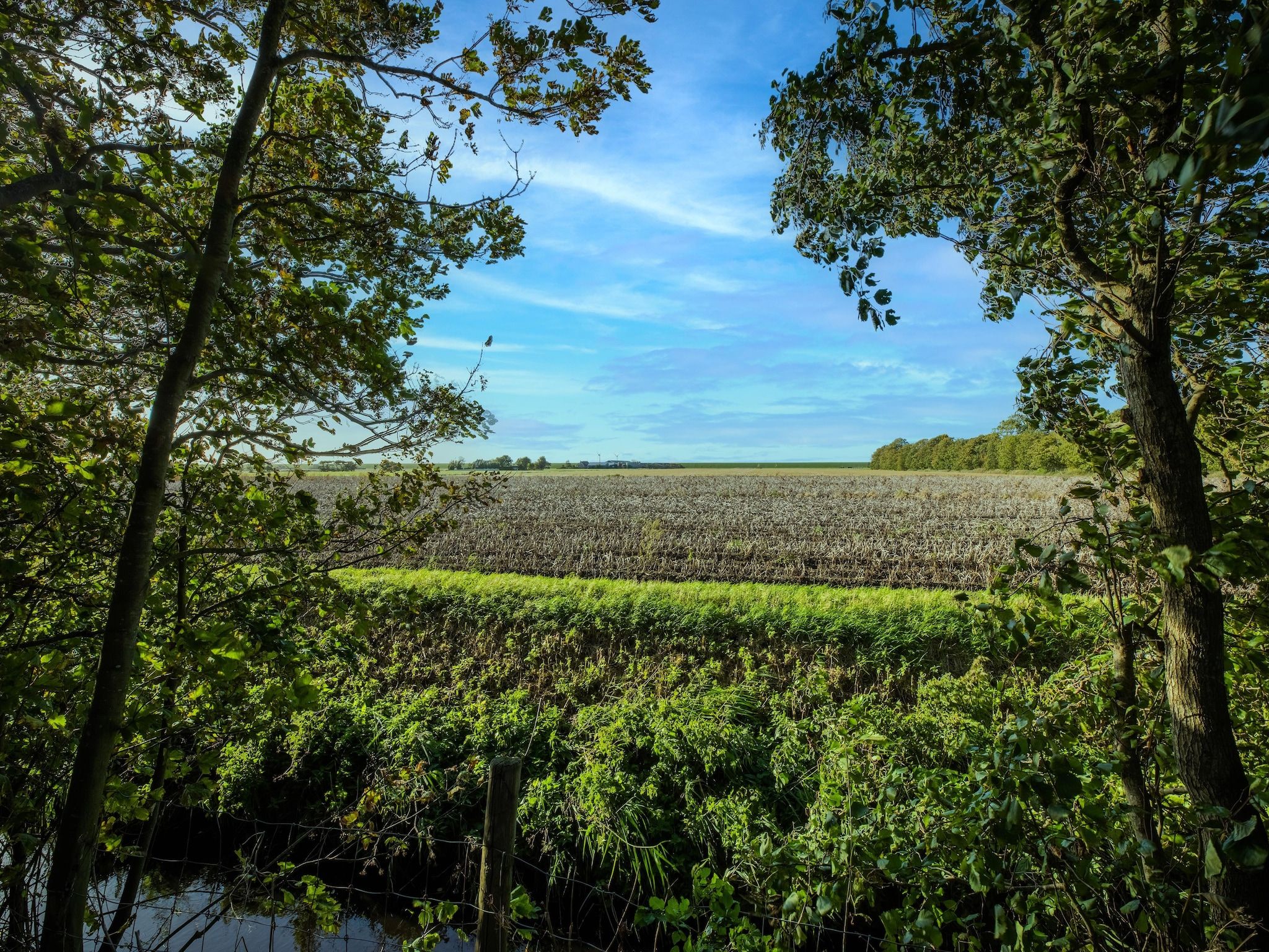 Vakantiewoning Wijnaldum in Wijnaldum - Foto 35 van 40