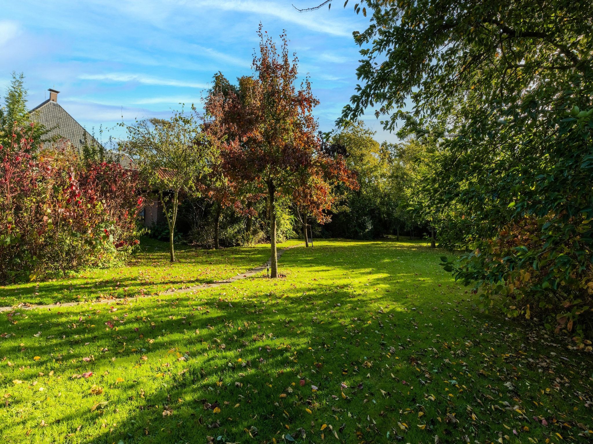 De tuin van Vakantiewoning Wijnaldum in Wijnaldum