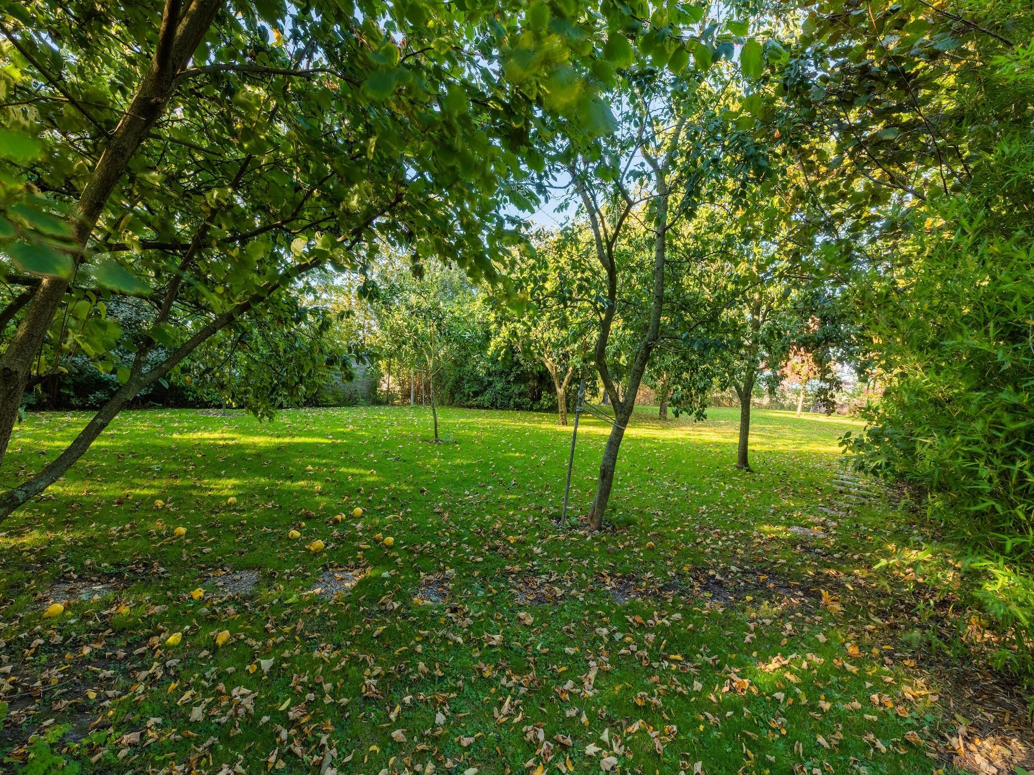 De tuin van Vakantiewoning Wijnaldum in Wijnaldum
