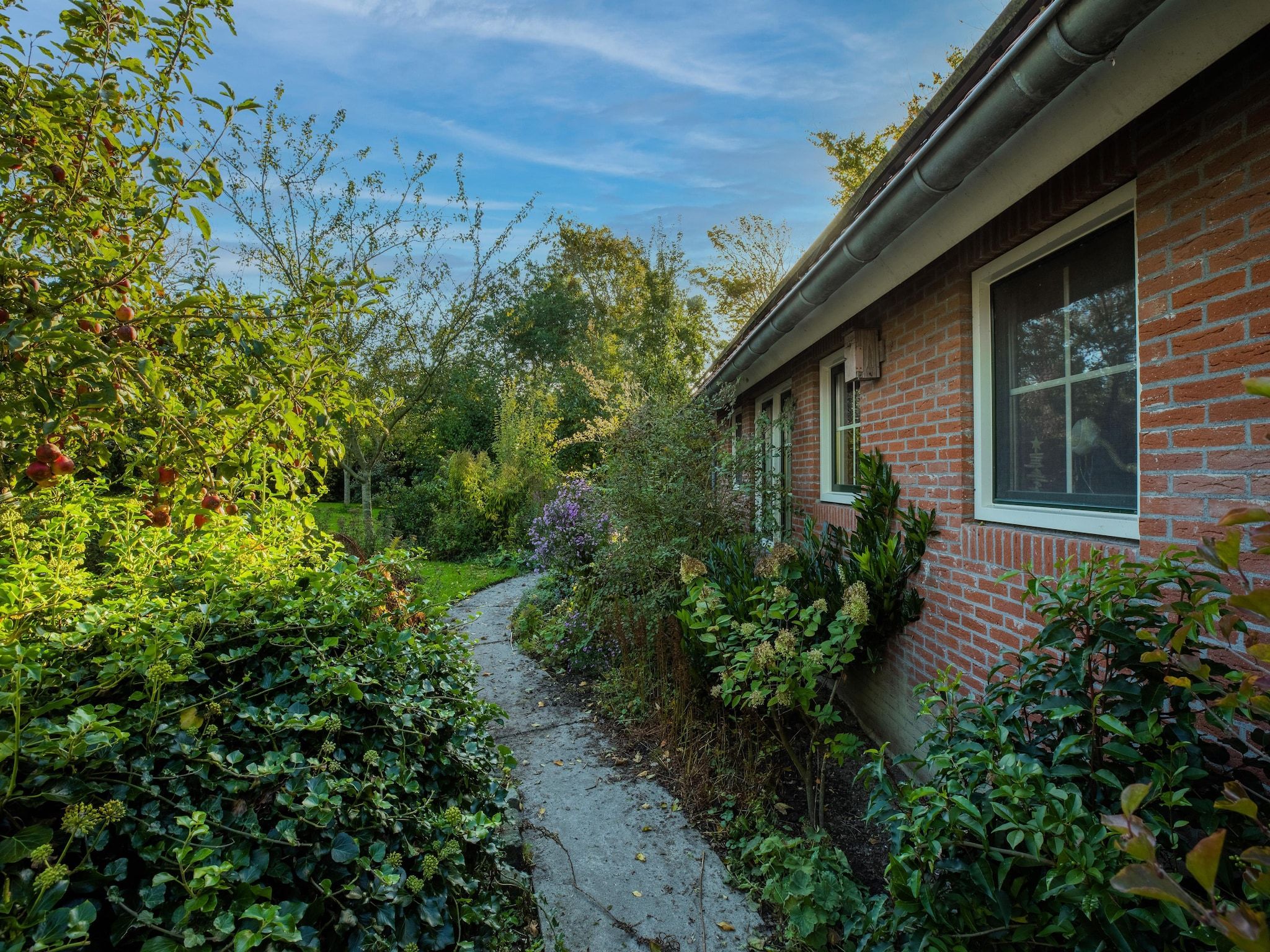 Vakantiewoning Wijnaldum in Wijnaldum - Foto 37 van 40