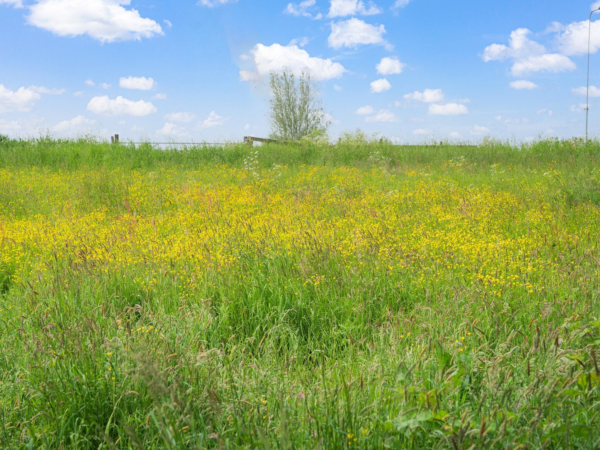 De omgeving van The Old Farmhouse in Montfoort