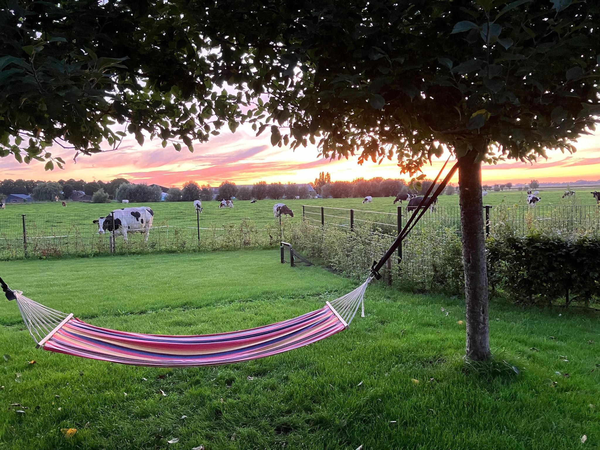 De buitenkant van The Old Farmhouse in Montfoort