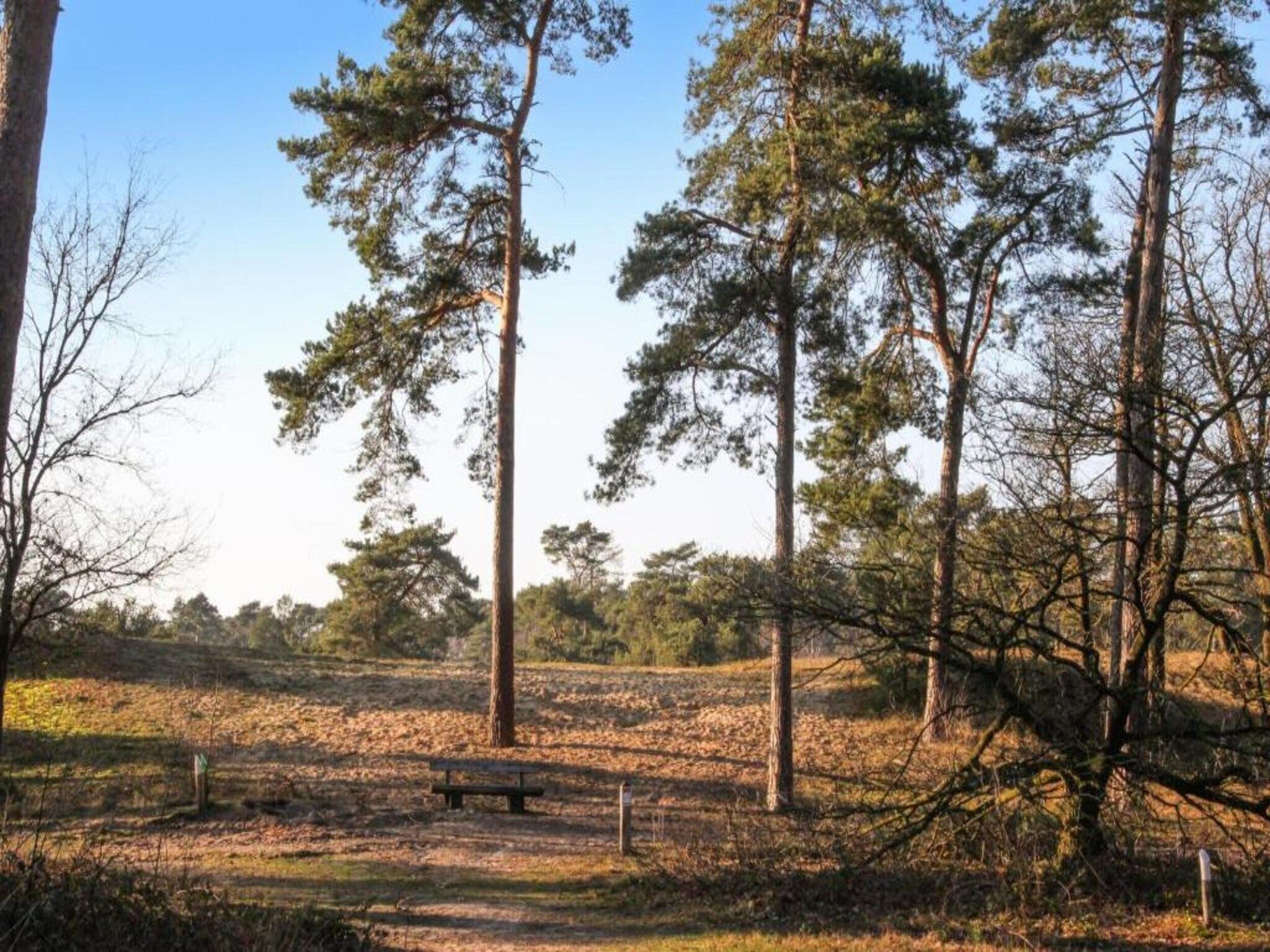 Vakantiepark Leukermeer 7 in Well - Foto 34 van 40