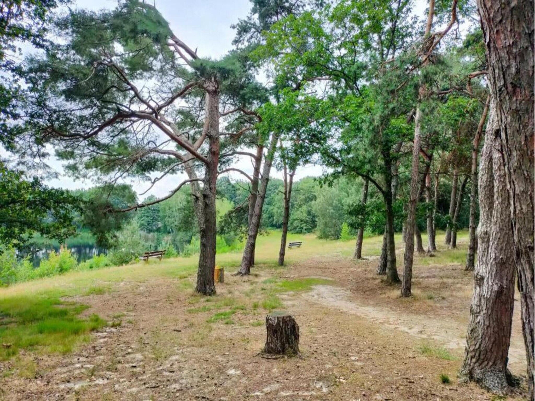 Vakantiepark Leukermeer 7 in Well - Foto 37 van 40