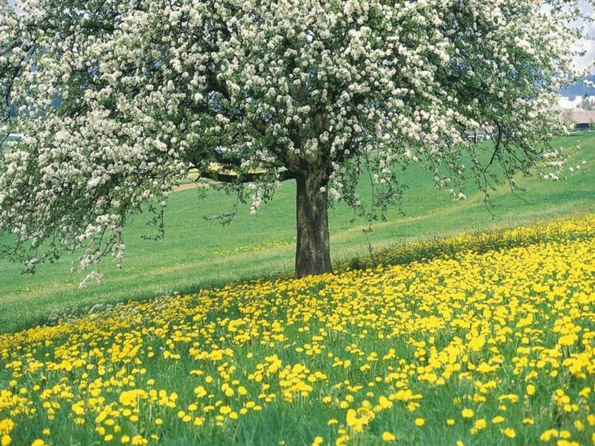 Vakantiepark Leukermeer 7 in Well - Foto 22 van 40