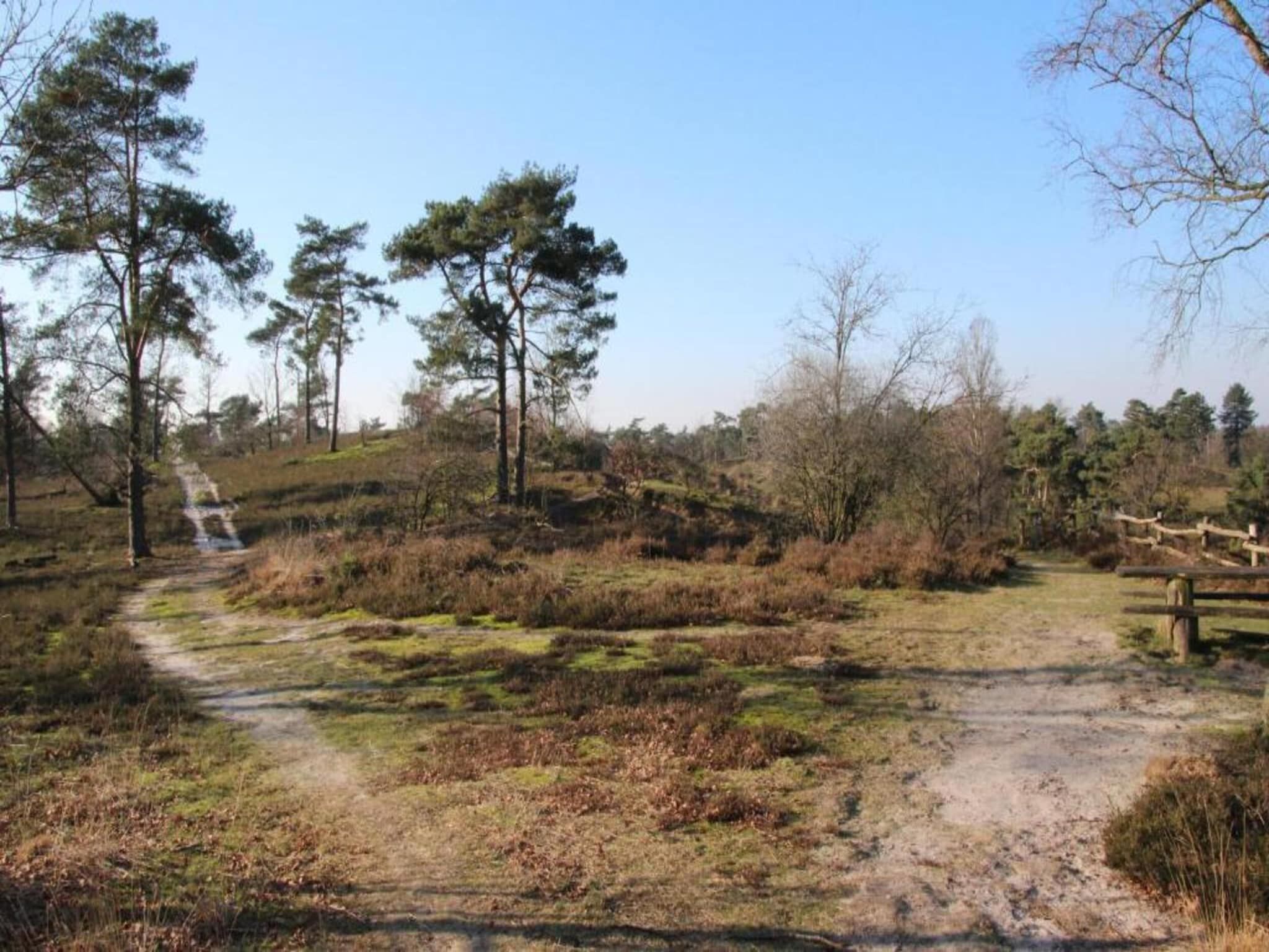 Vakantiepark Leukermeer 8 in Well - Foto 29 van 40