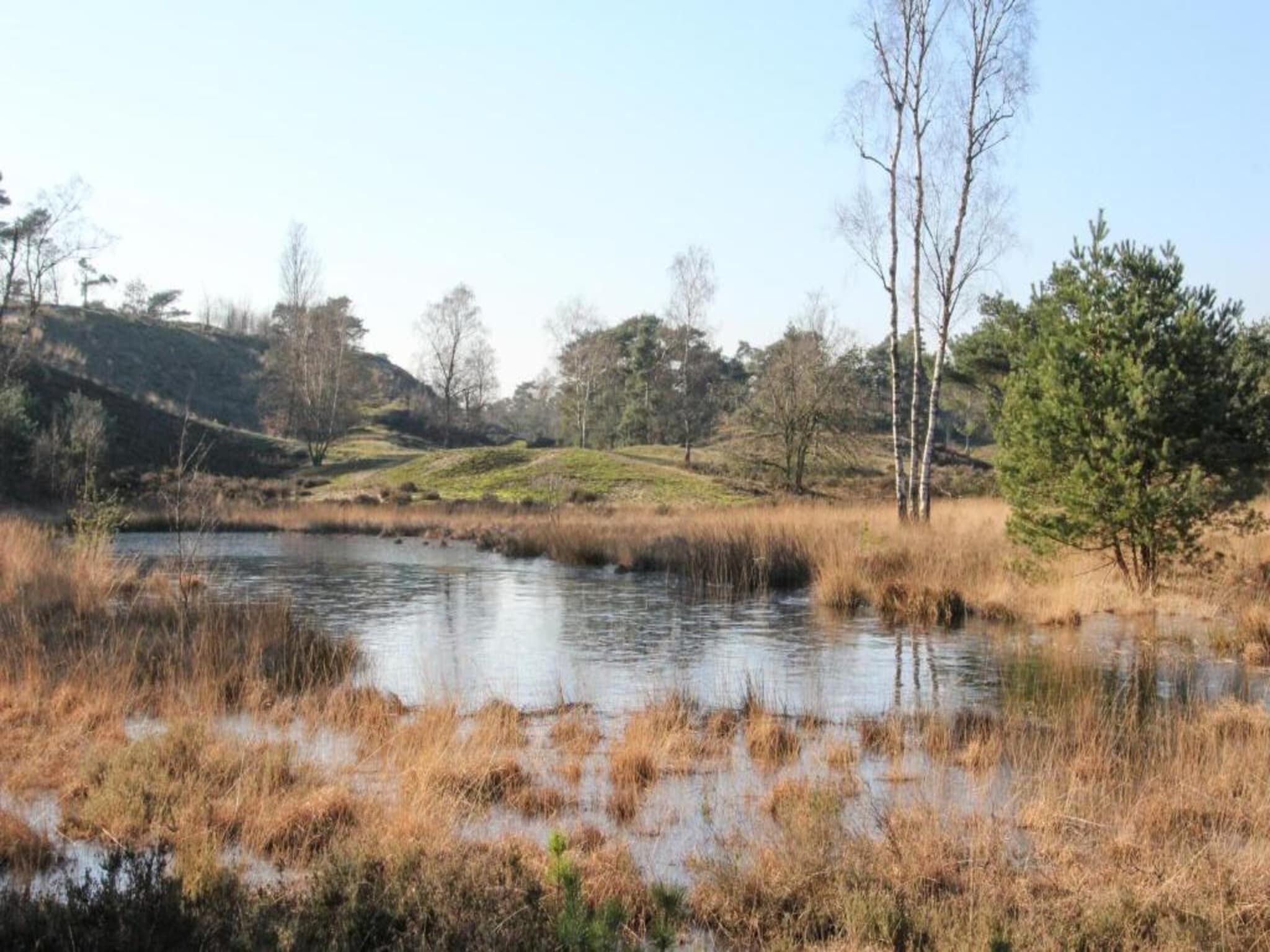 Vakantiepark Leukermeer 11 in Well - Foto 37 van 40