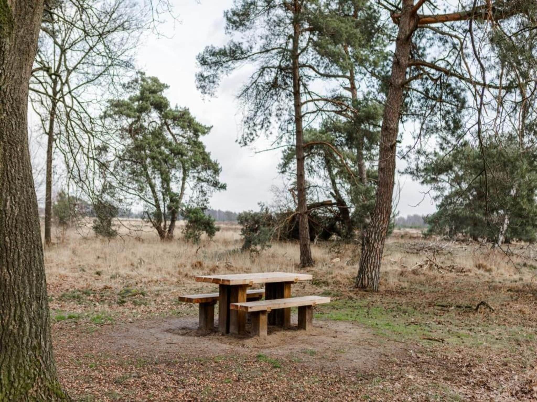 Dorpswoning Het Jagershuis in Leende - Foto 32 van 40