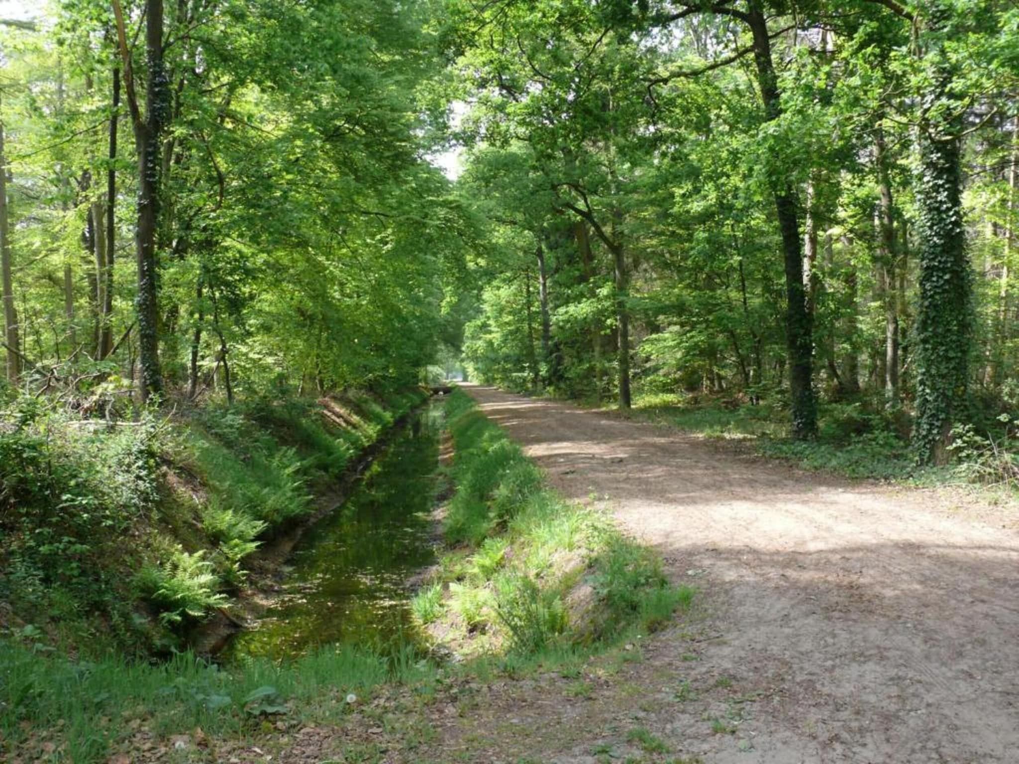 Buitenplaats Gerner 7 in Dalfsen - Foto 30 van 40