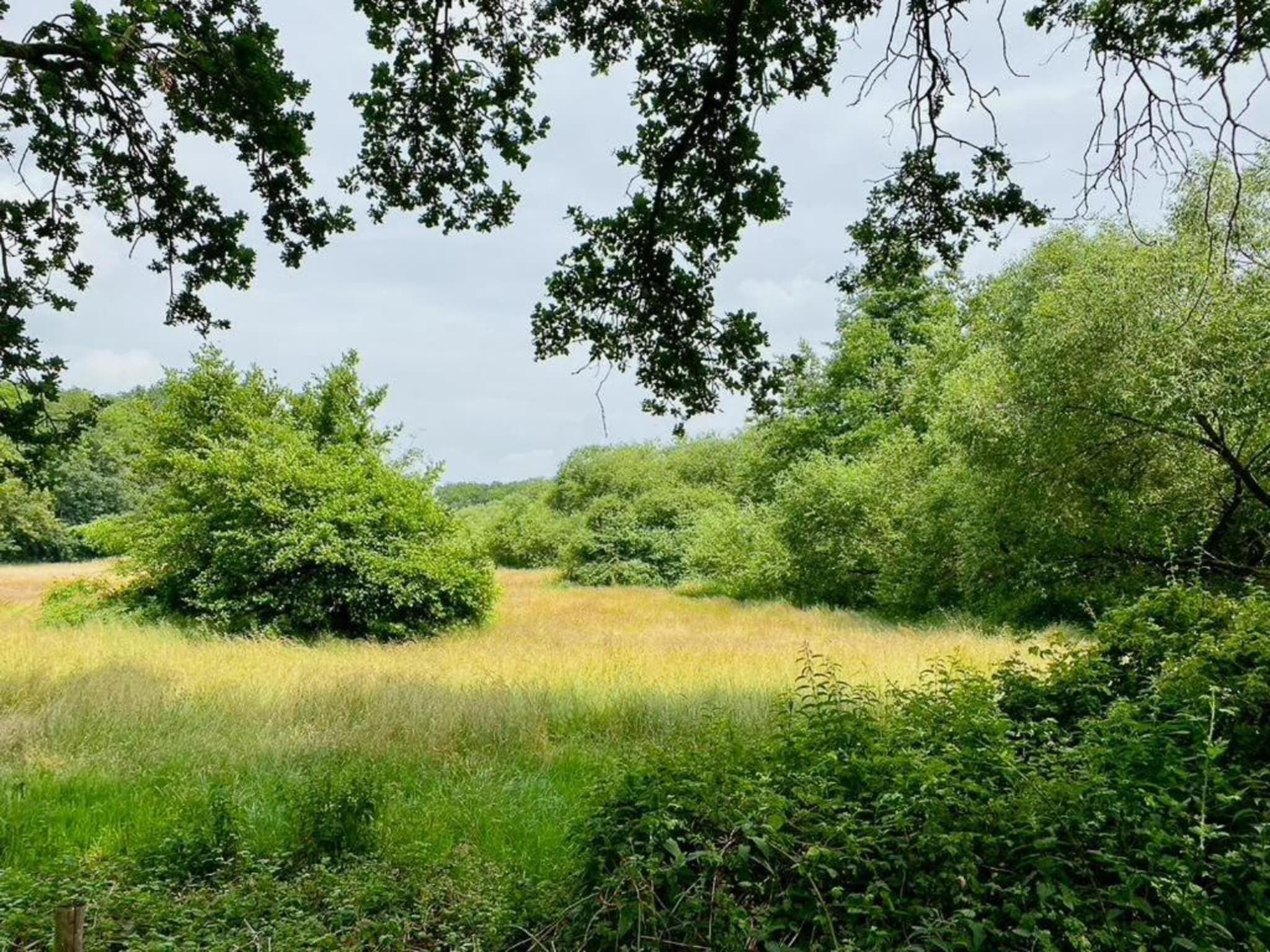 Buitenplaats Gerner 7 in Dalfsen - Foto 27 van 40