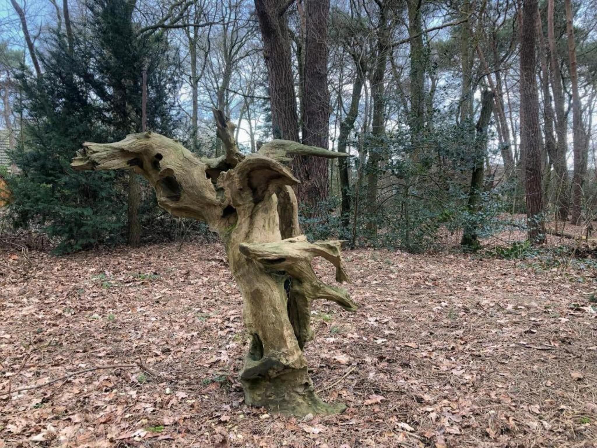 Buitenplaats Gerner 7 in Dalfsen - Foto 29 van 40