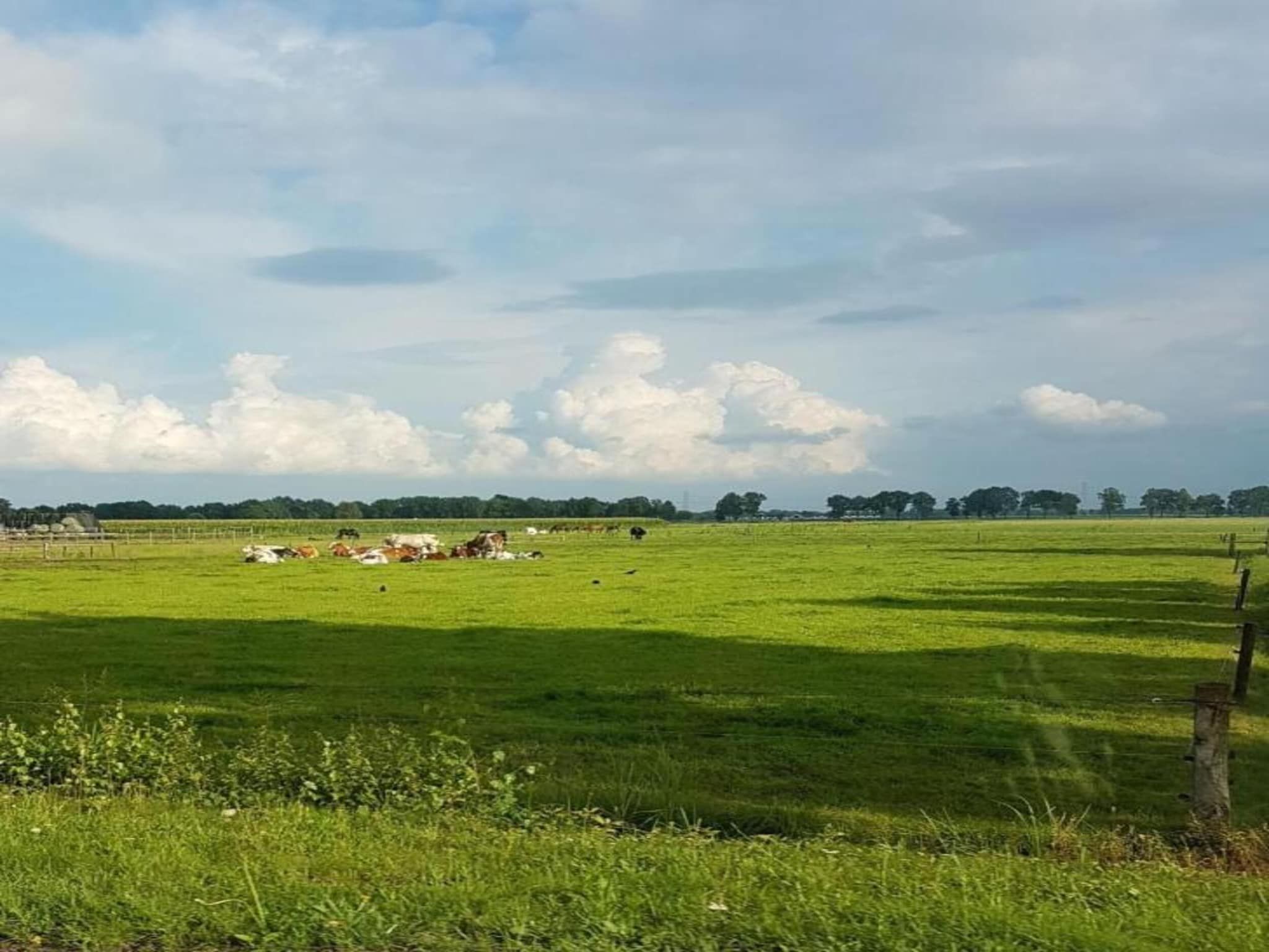 Buitenplaats Gerner 8 in Dalfsen - Foto 37 van 40