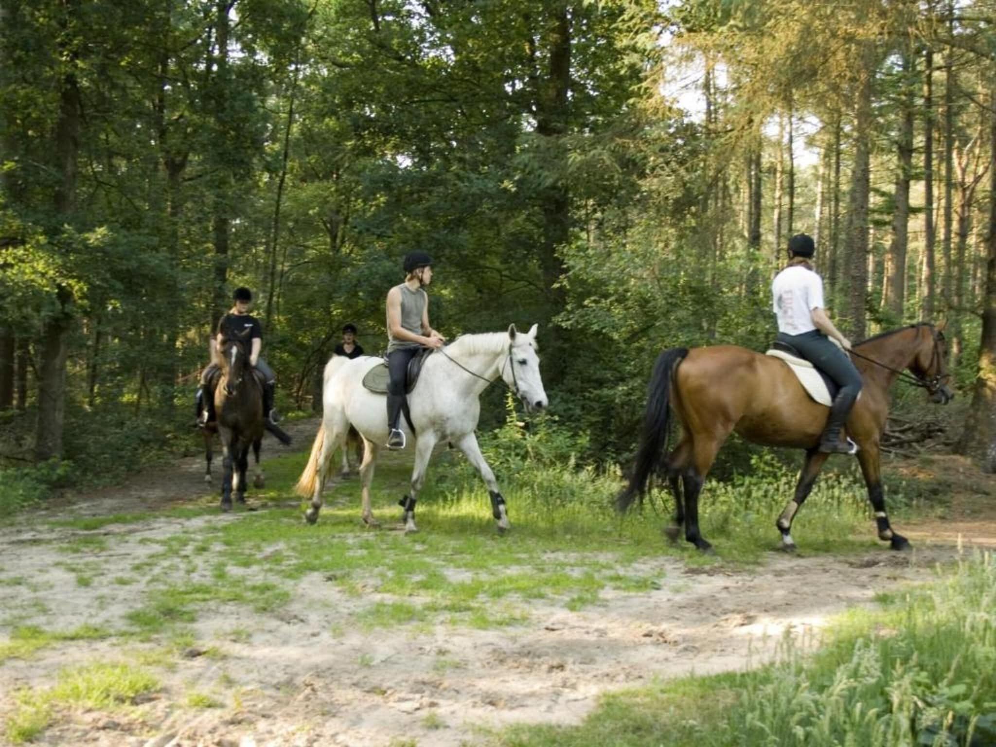 Buitenplaats Gerner 8 in Dalfsen - Foto 25 van 40