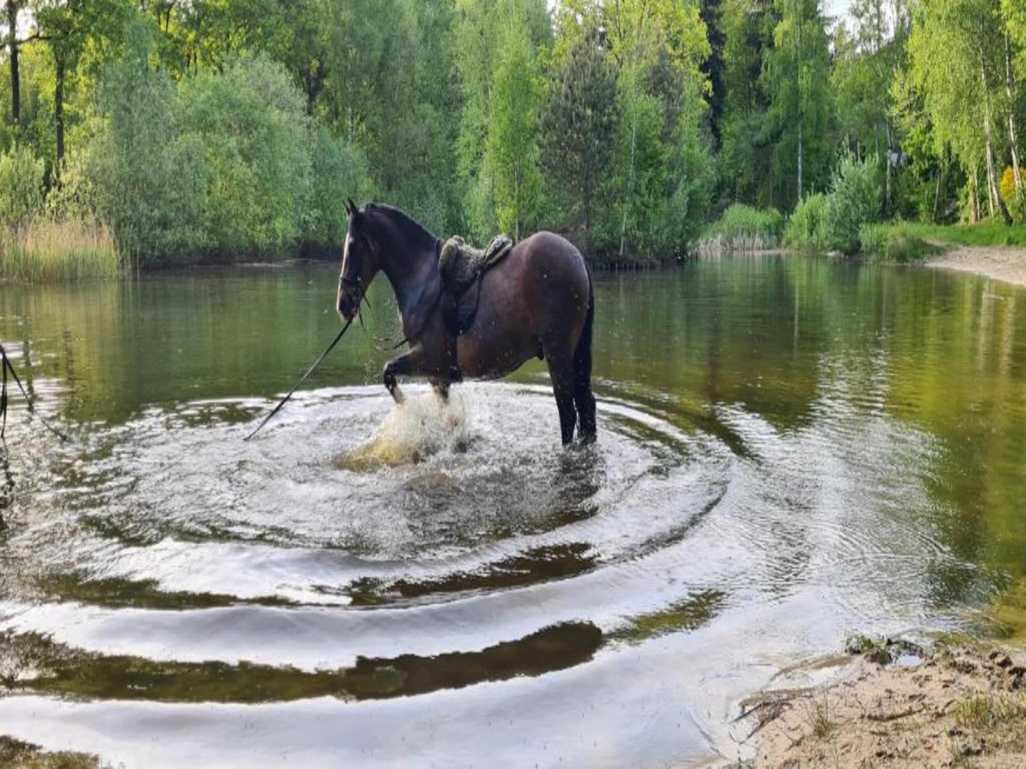 Buitenplaats Gerner 8 in Dalfsen - Foto 30 van 40