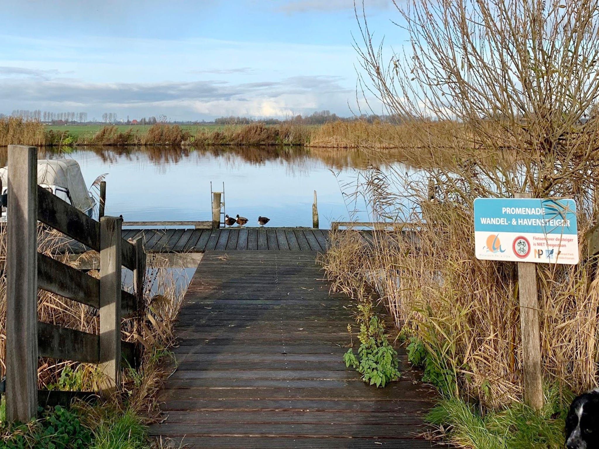 Yn'e Lijte 110 in Grou - Foto 18 van 42