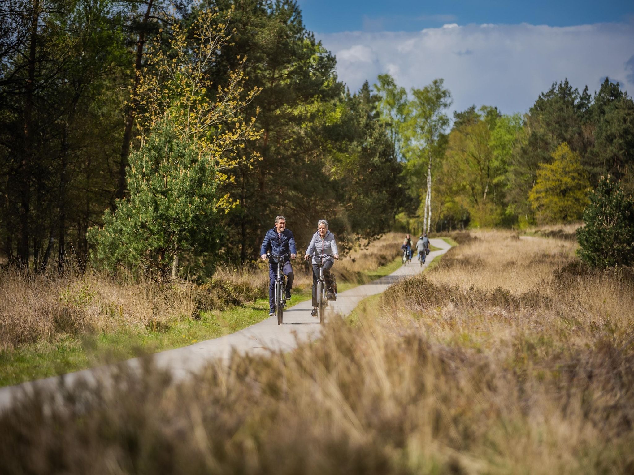Vakantiepark De Rimboe & De Woeste Hoogte 39 in Hoenderloo - Foto 37 van 40