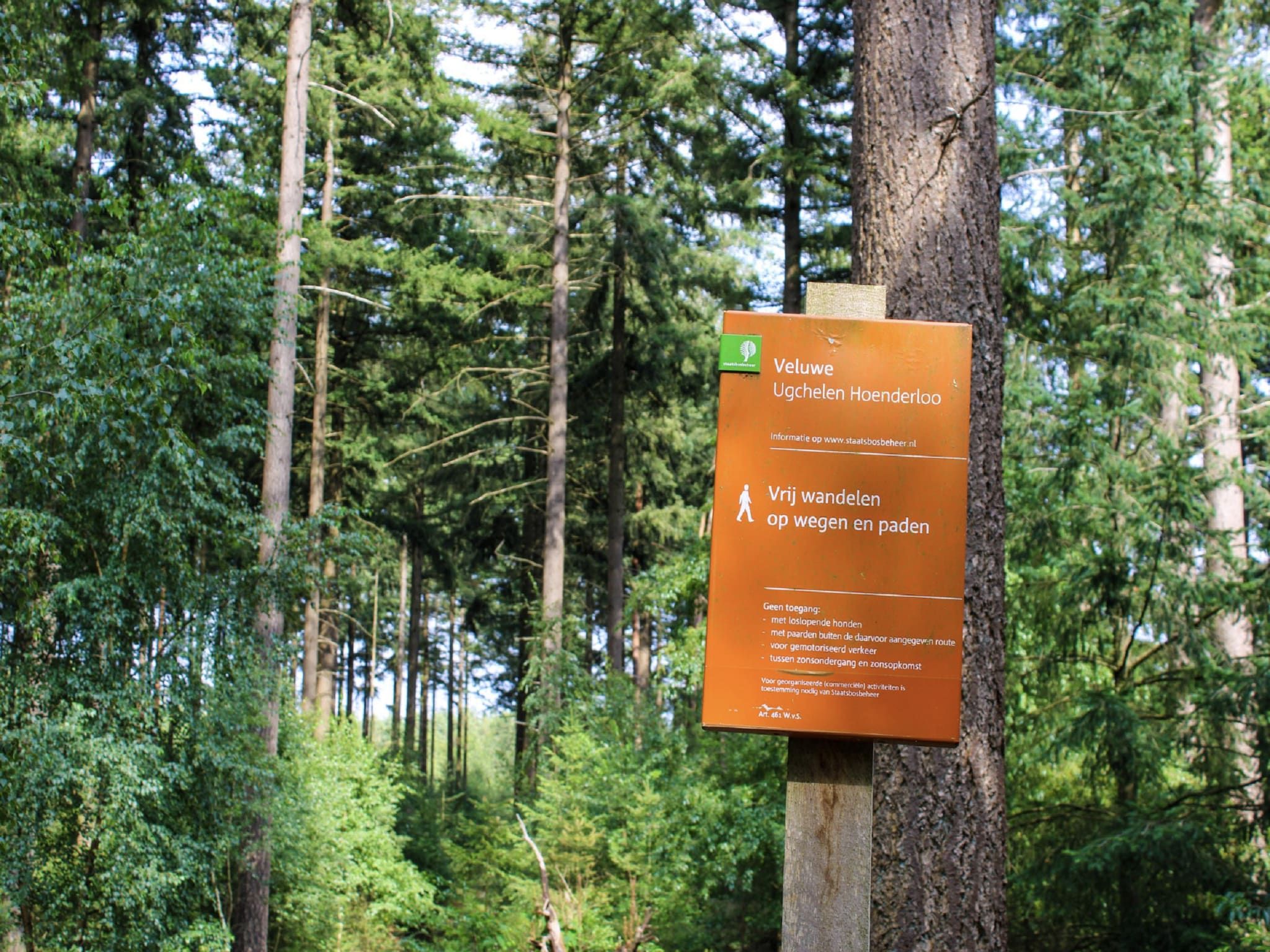Parkfaciliteiten bij Vakantiepark De Rimboe & De Woeste Hoogte 39 in Hoenderloo