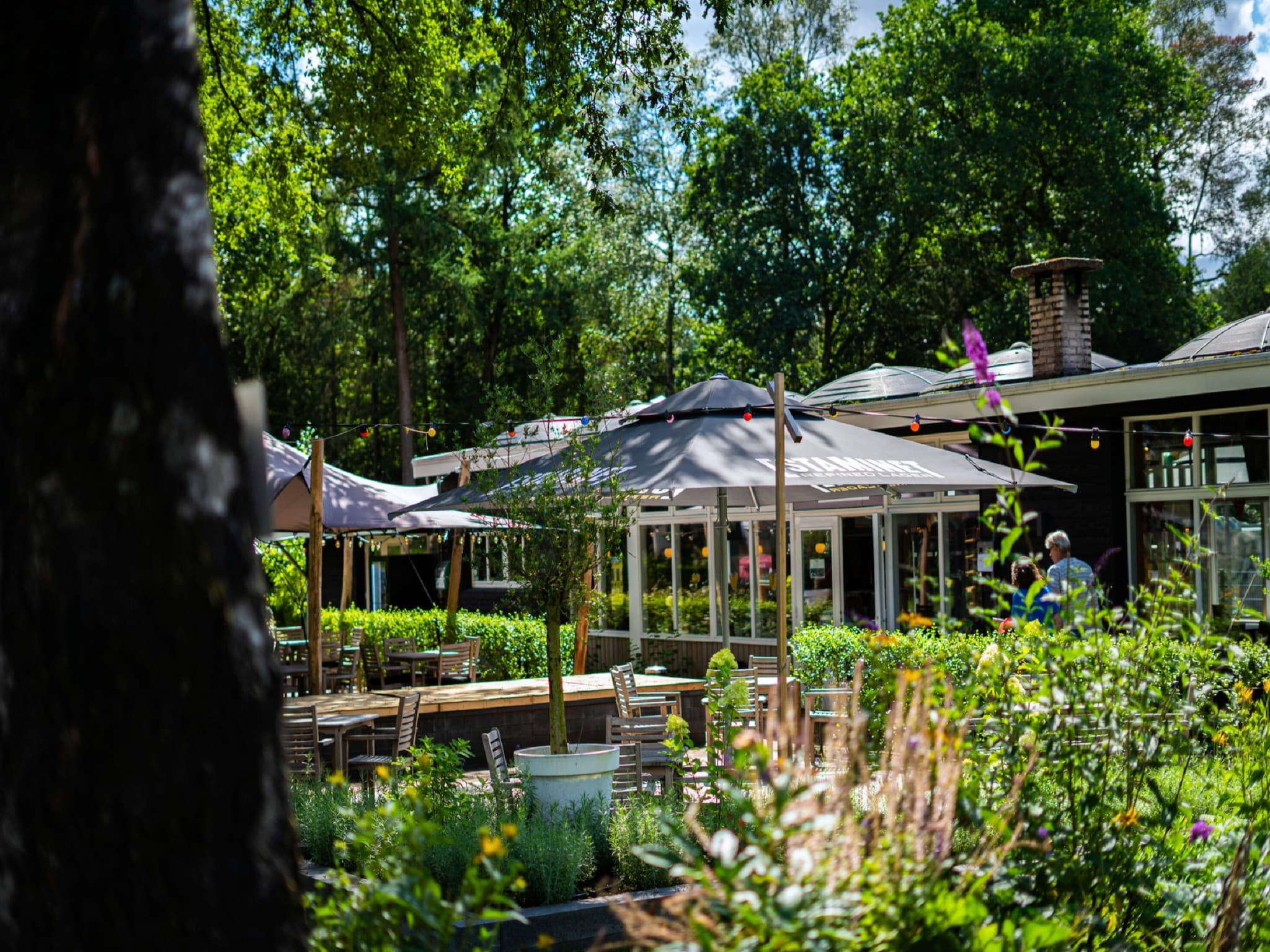 Parkfaciliteiten bij Vakantiepark De Rimboe & De Woeste Hoogte 39 in Hoenderloo