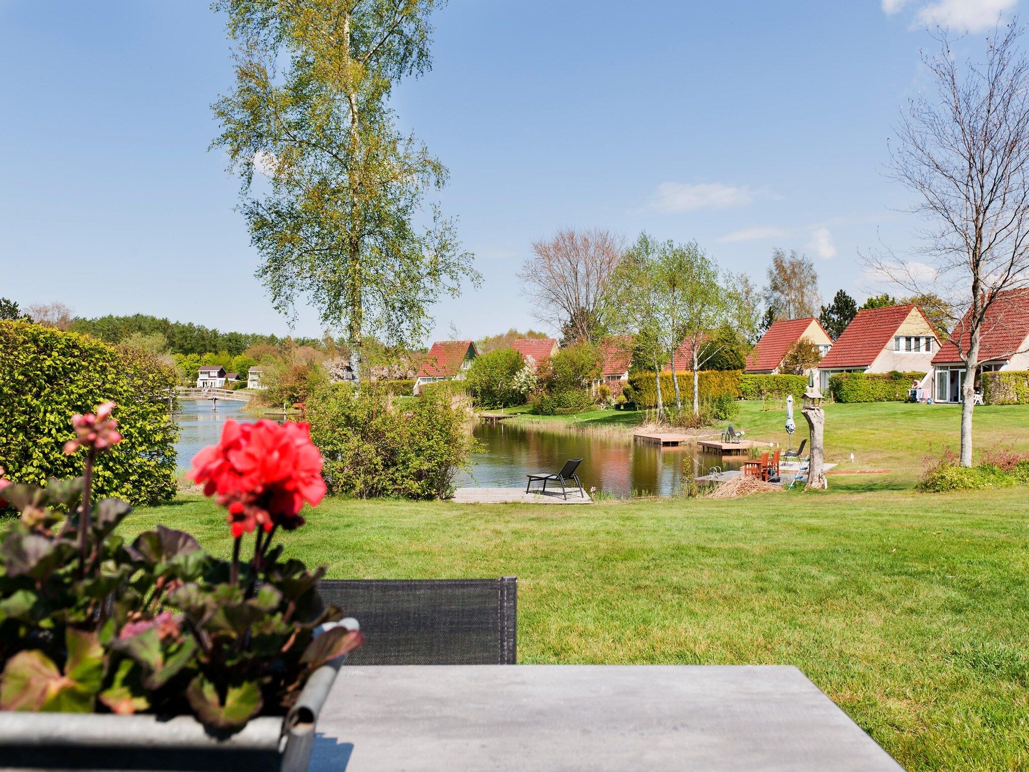 De tuin van 6 pers Renneborghuis Wellness Comfort met sauna in Groningen