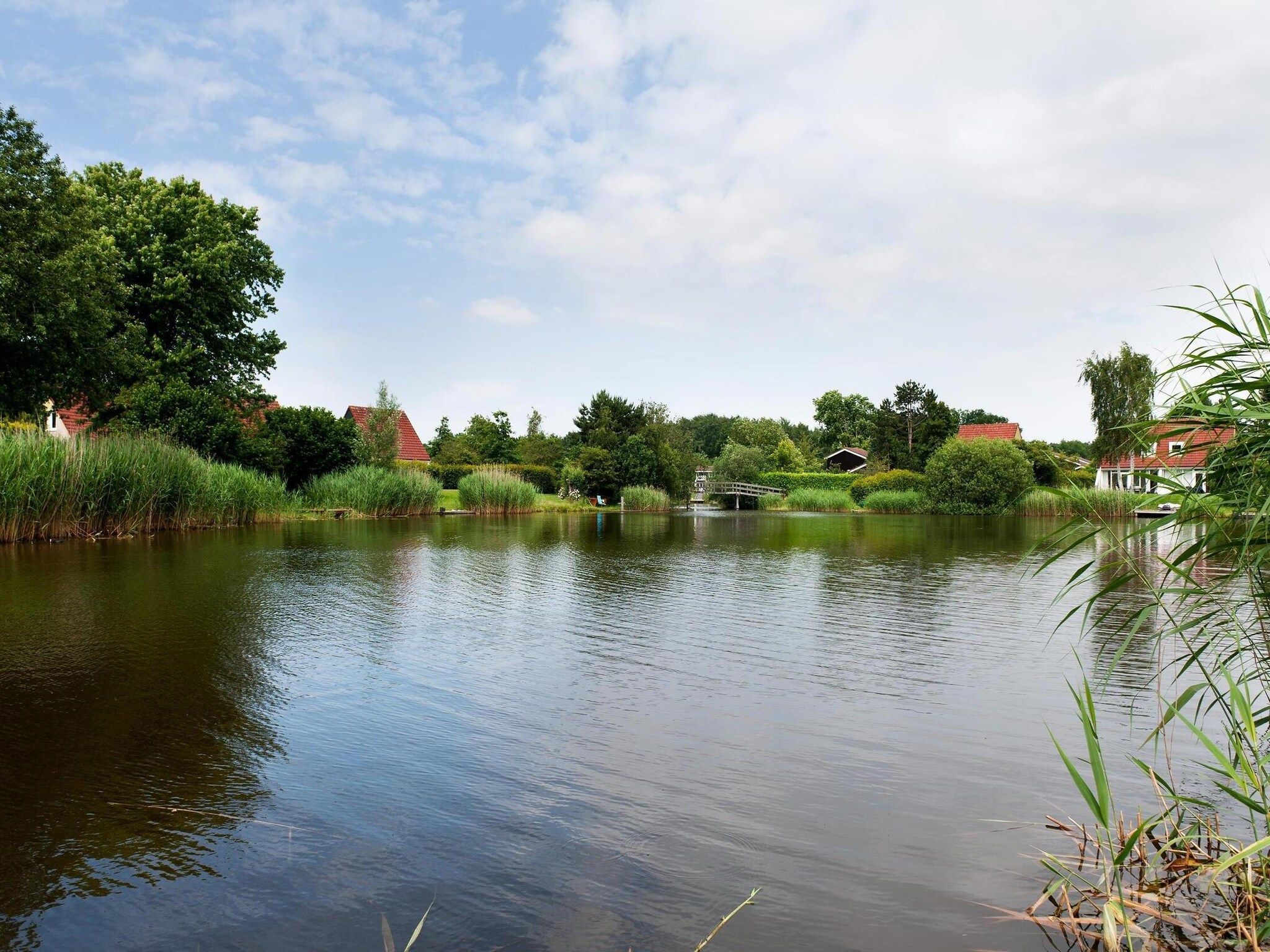 6 pers Renneborghuis Wellness Comfort met sauna in Groningen - Foto 37 van 39