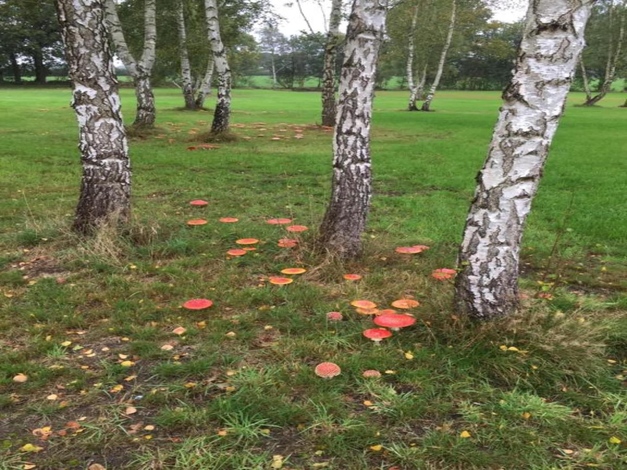 Acker Lodges 1 in Ruinerwold - Foto 37 van 40