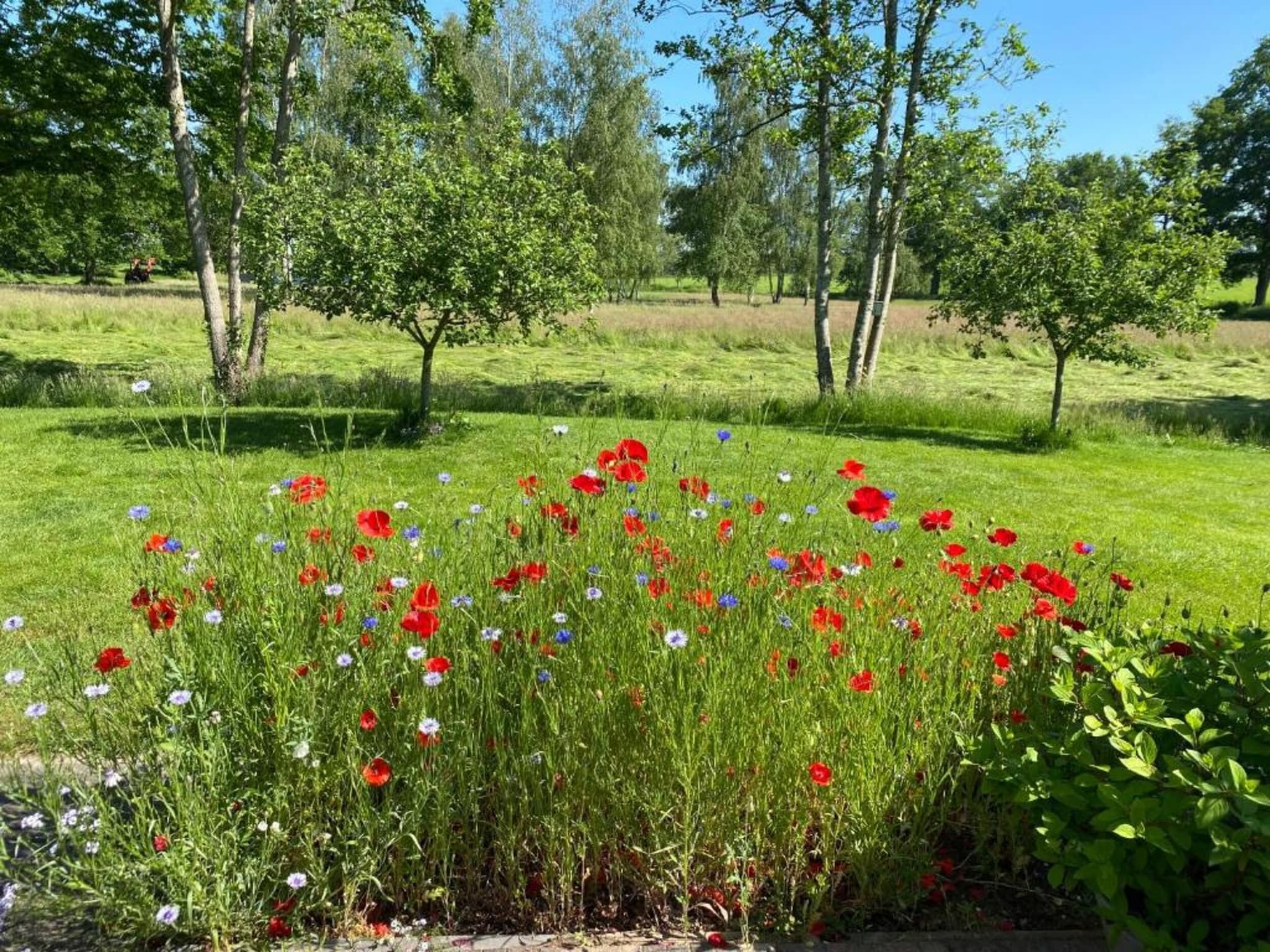 Acker Lodges 1 in Ruinerwold - Foto 36 van 40