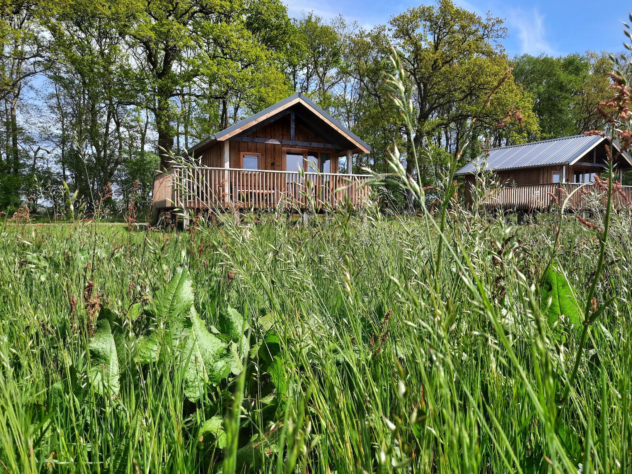 De buitenkant van Acker Lodges 2 in Ruinerwold