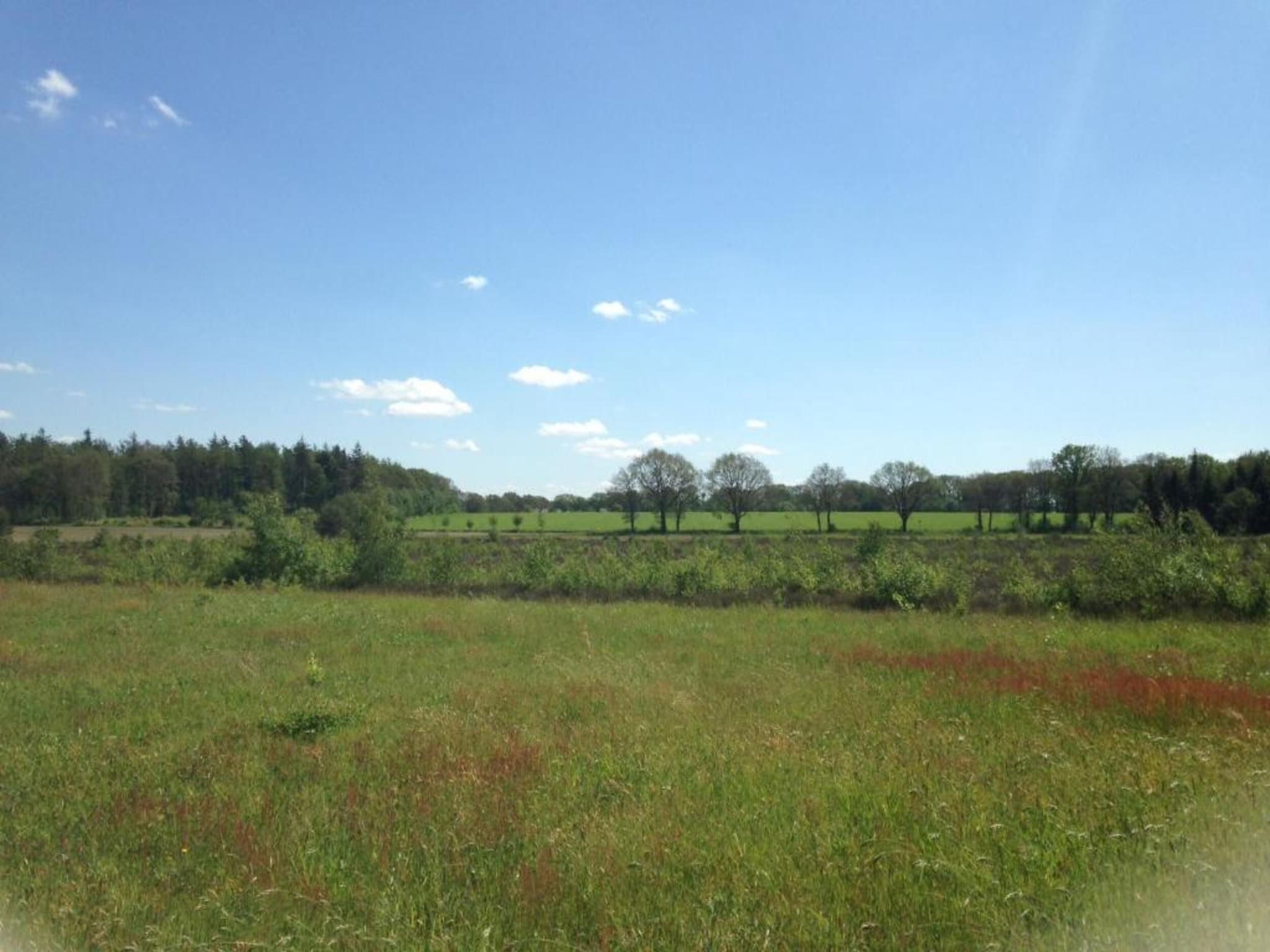 Acker Lodges 2 in Ruinerwold - Foto 39 van 40