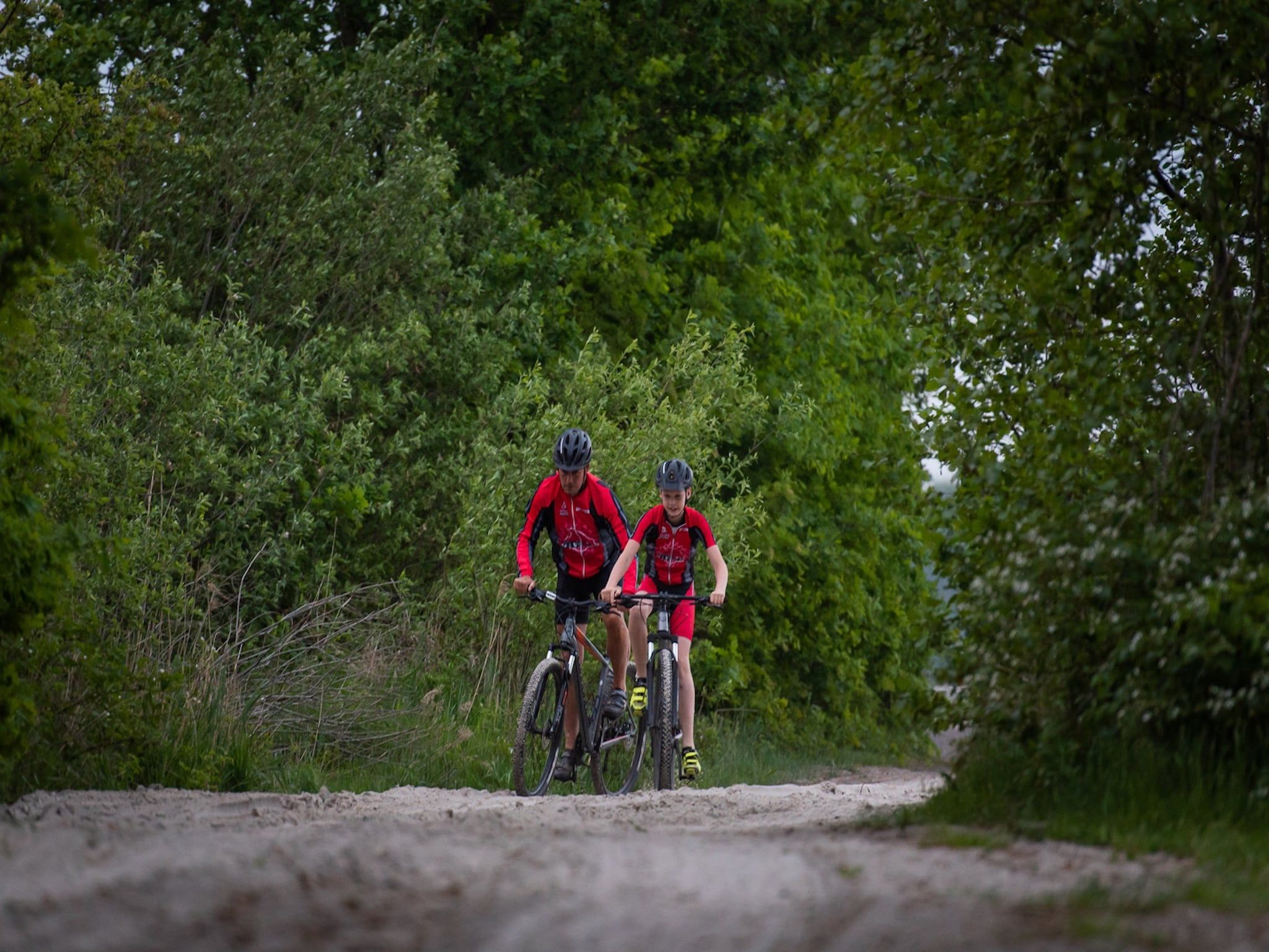 De omgeving van Acker Lodges 3 in Ruinerwold