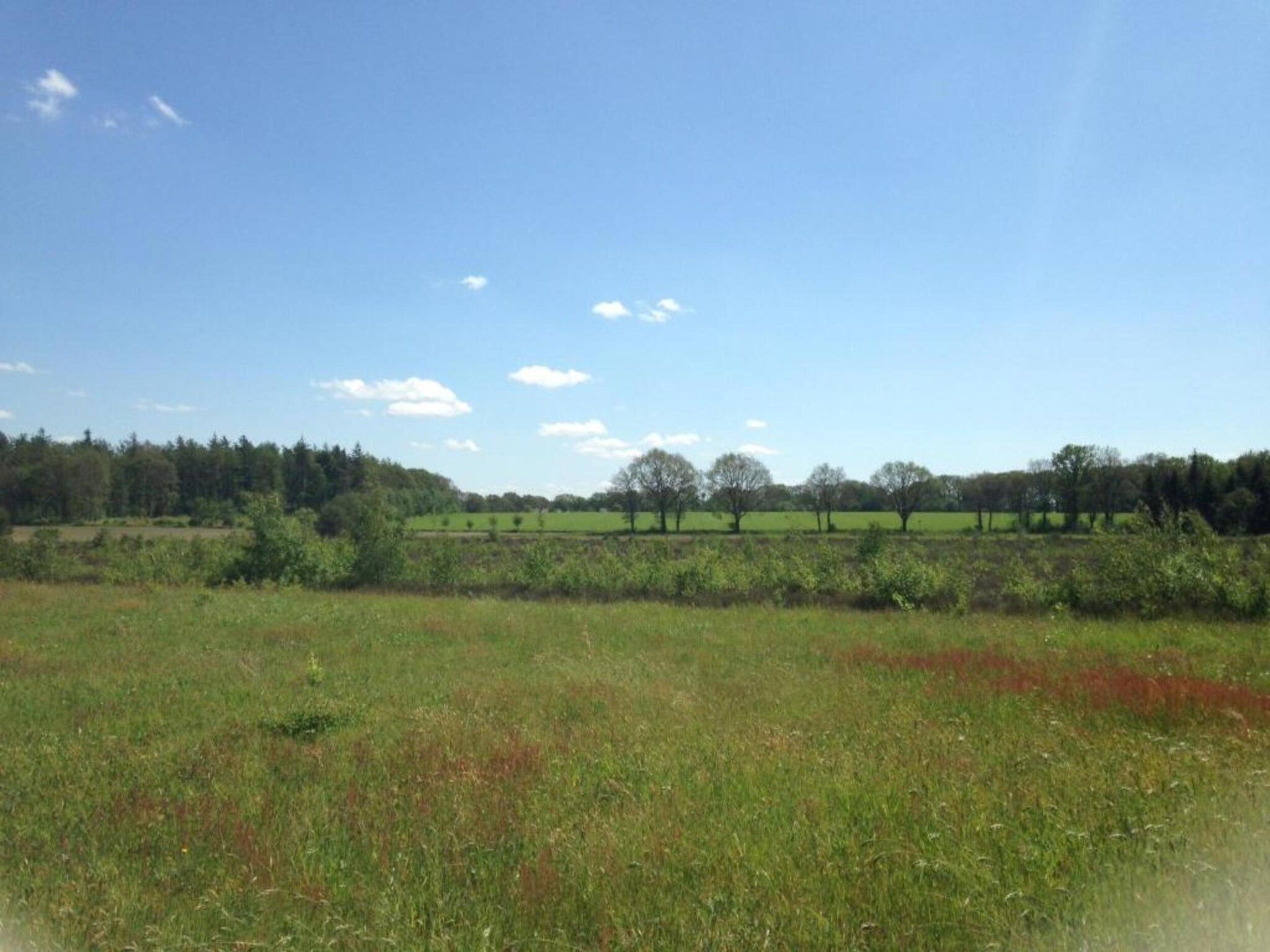 Acker Lodges 3 in Ruinerwold - Foto 39 van 40