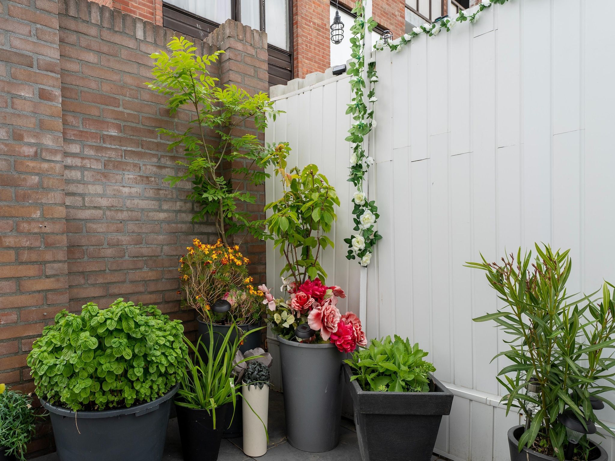 De tuin van Vakantiewoning Aarab in Vlissingen