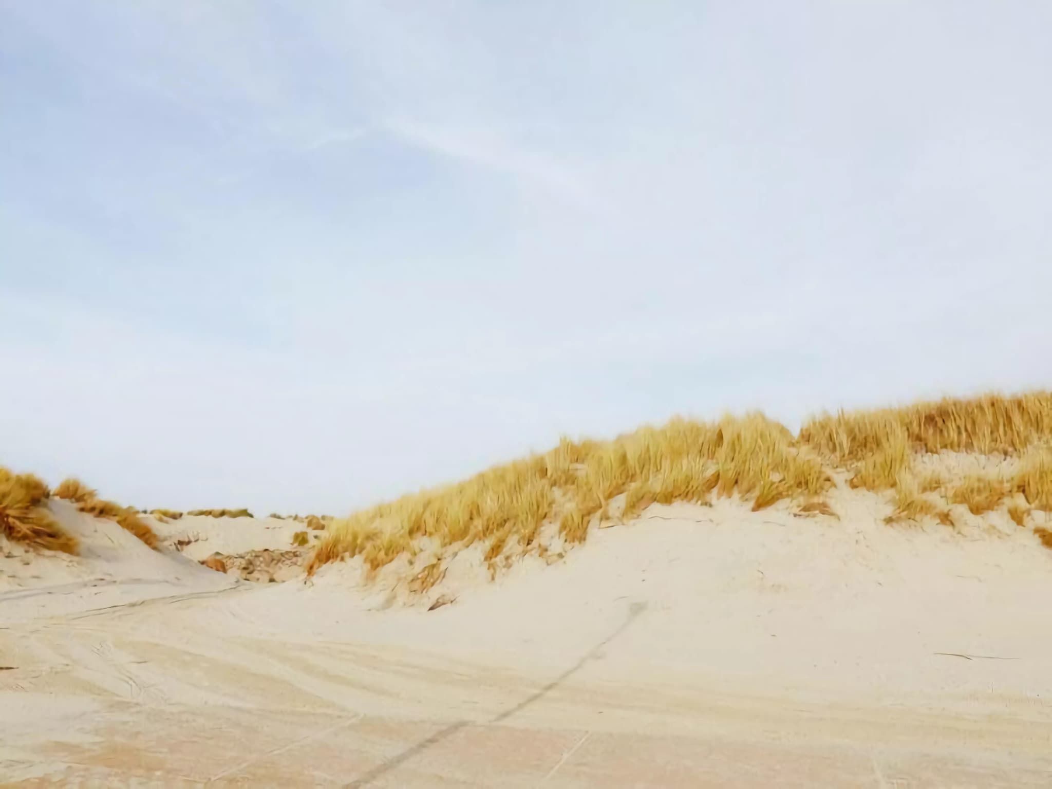 De omgeving van Duinchalet in Hollum