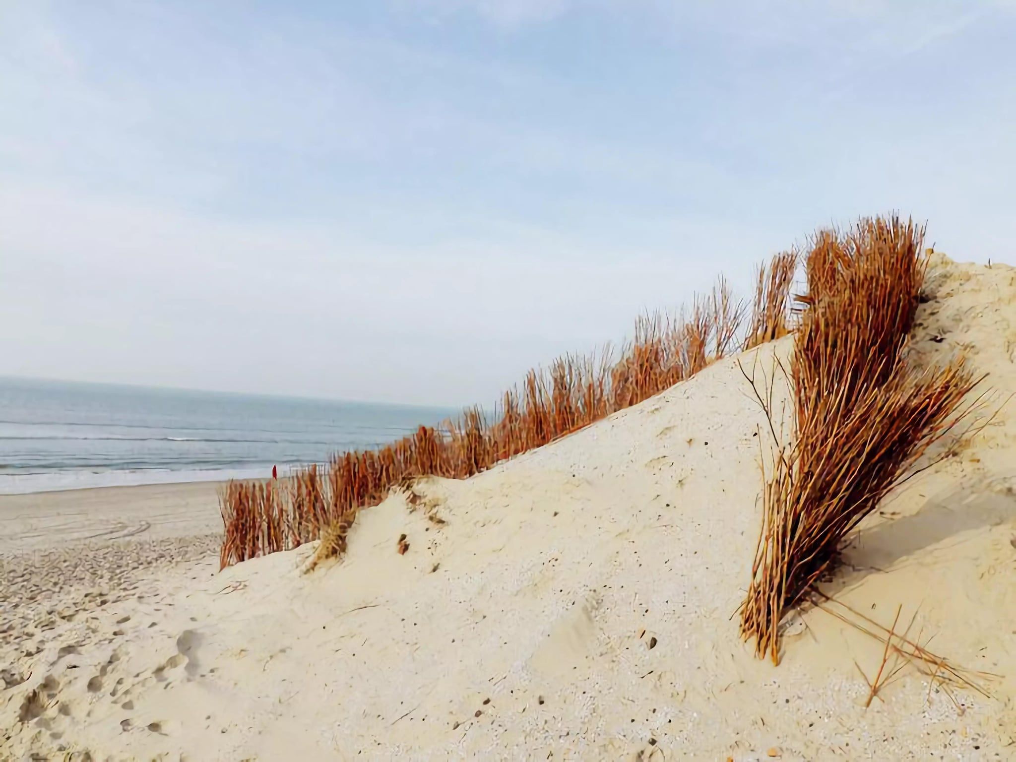 De omgeving van Duinchalet in Hollum