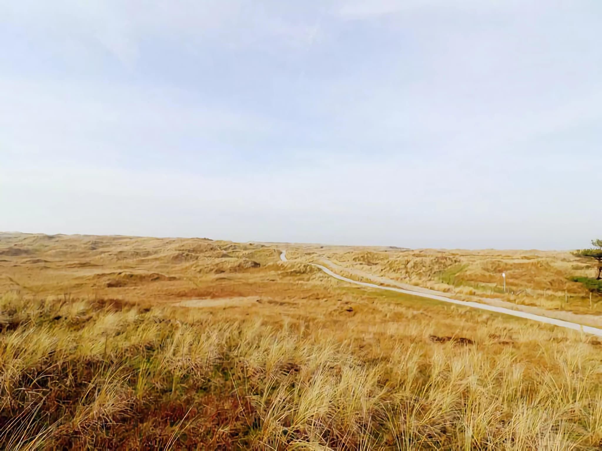 De omgeving van Duinchalet in Hollum