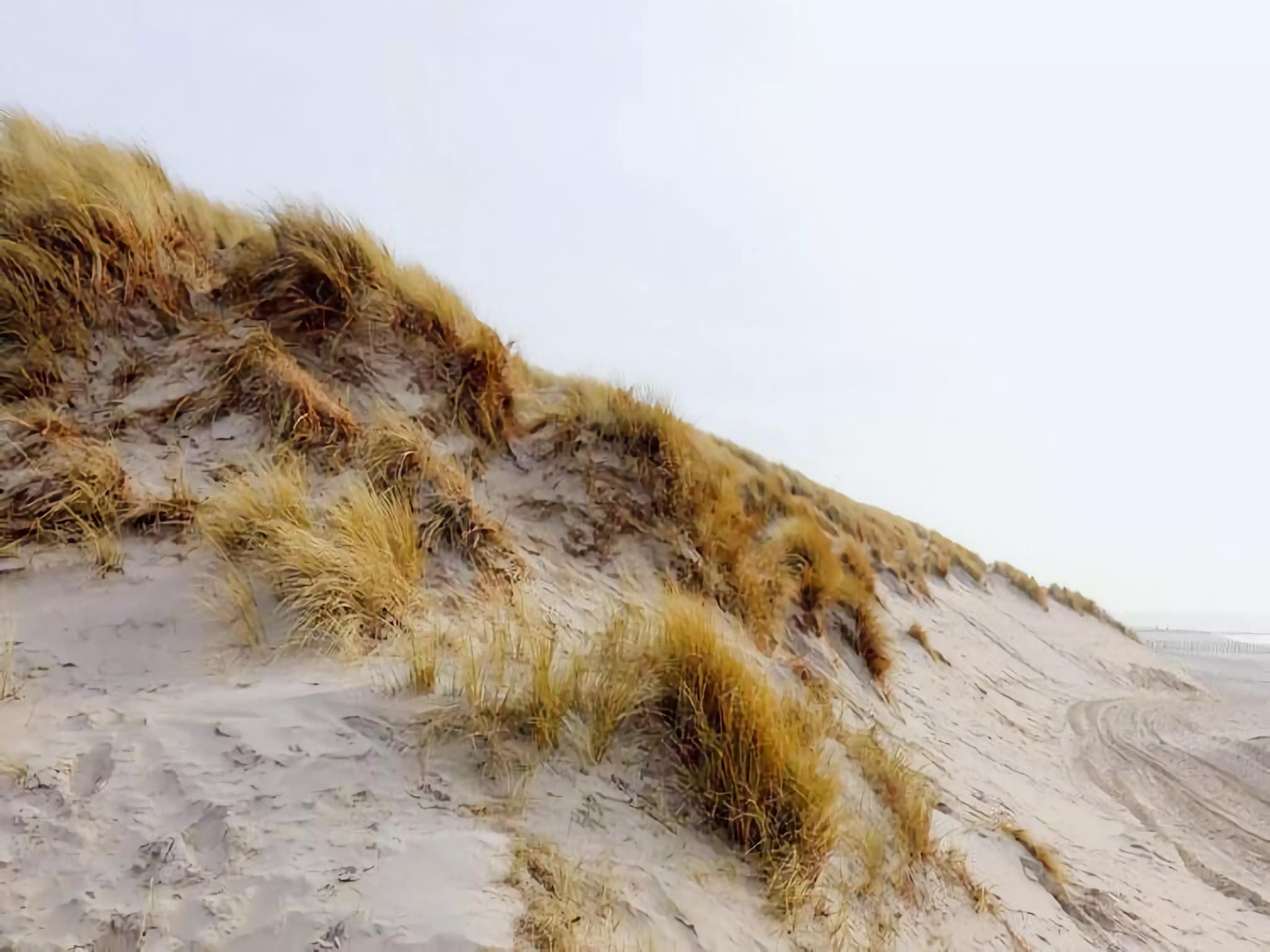 De omgeving van Duinchalet in Hollum
