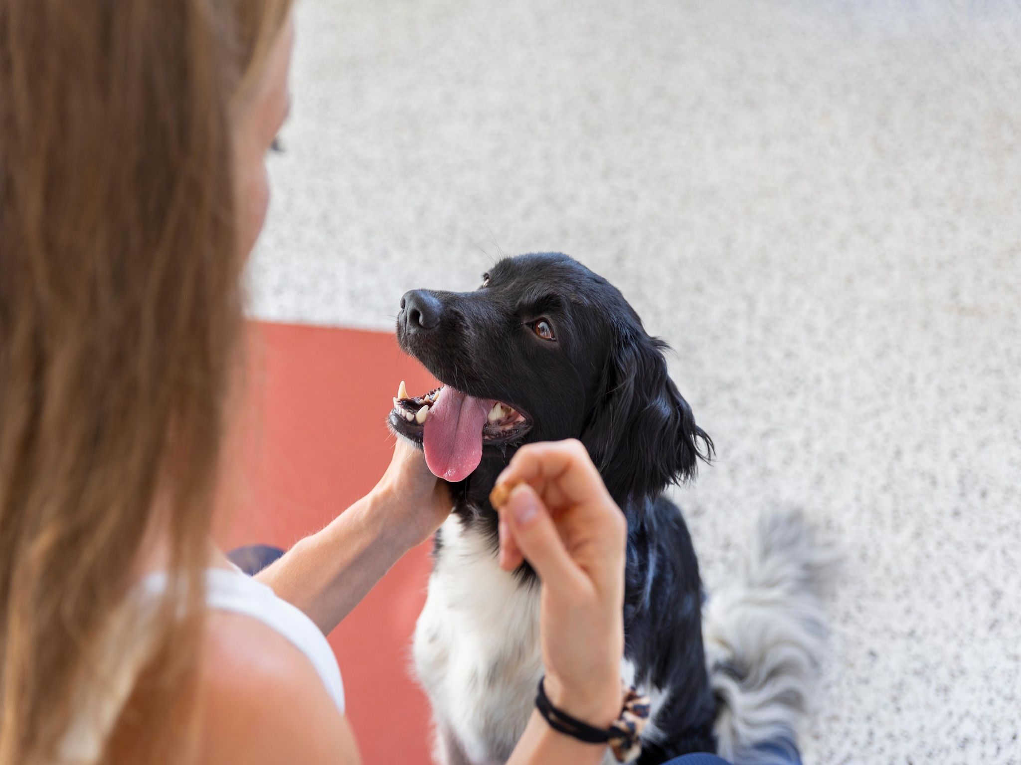 Sfeerbeeld van Resort Nieuwvliet-Bad 10 in Nieuwvliet