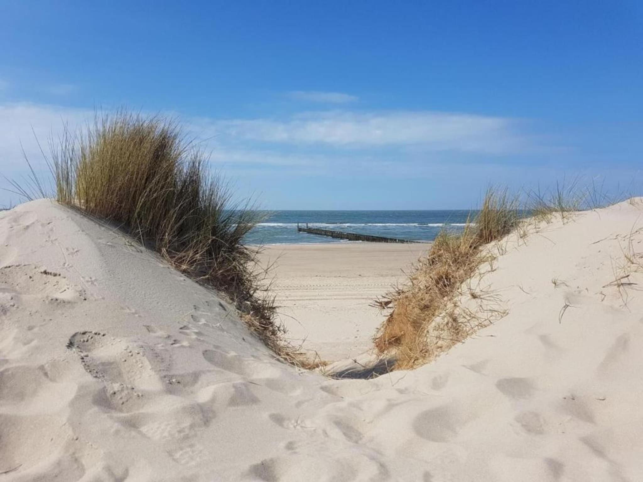 Buitenhof Domburg  16 in Domburg - Foto 32 van 33