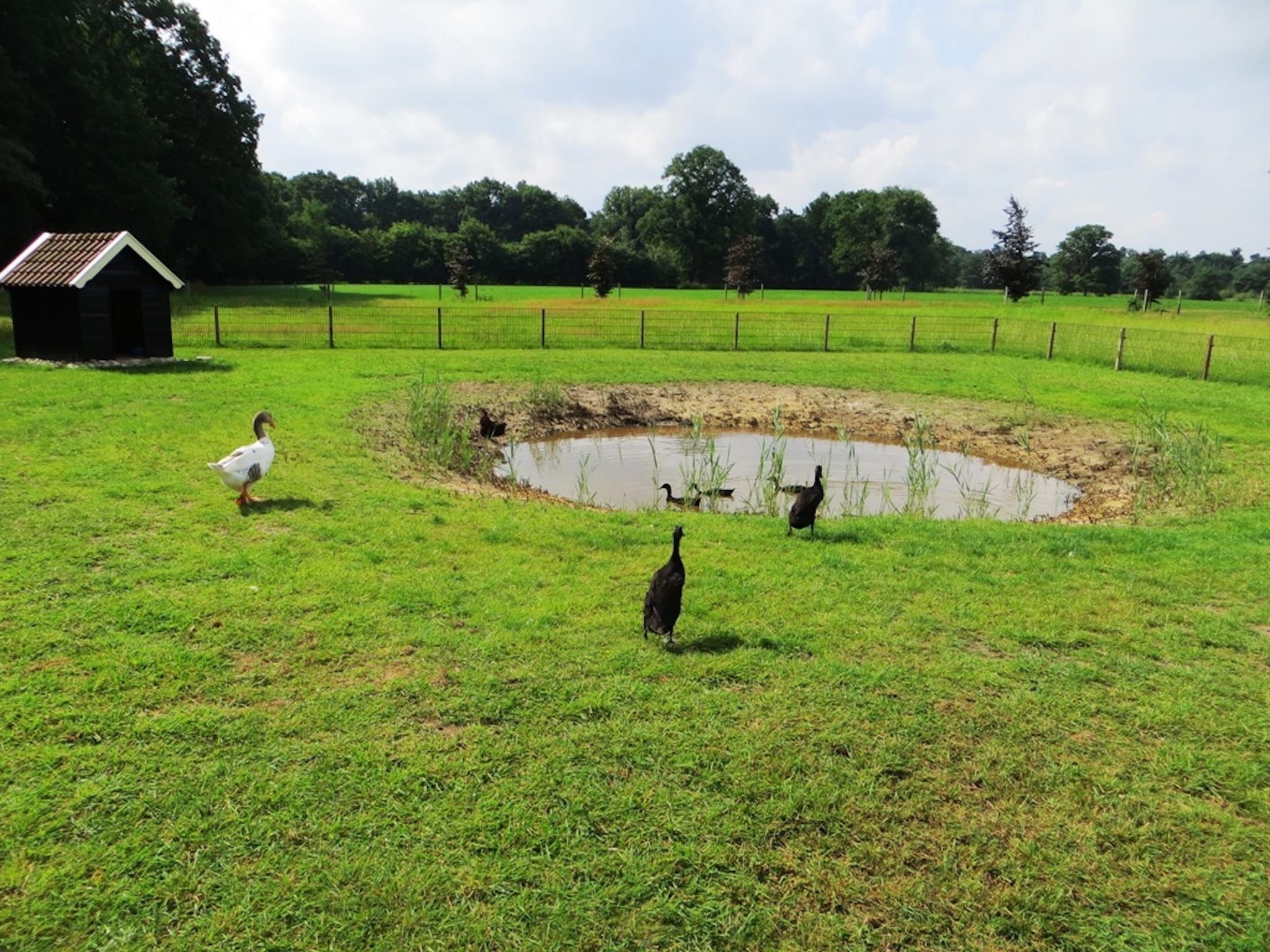 Parkfaciliteiten bij De Familieboerderij in Losser